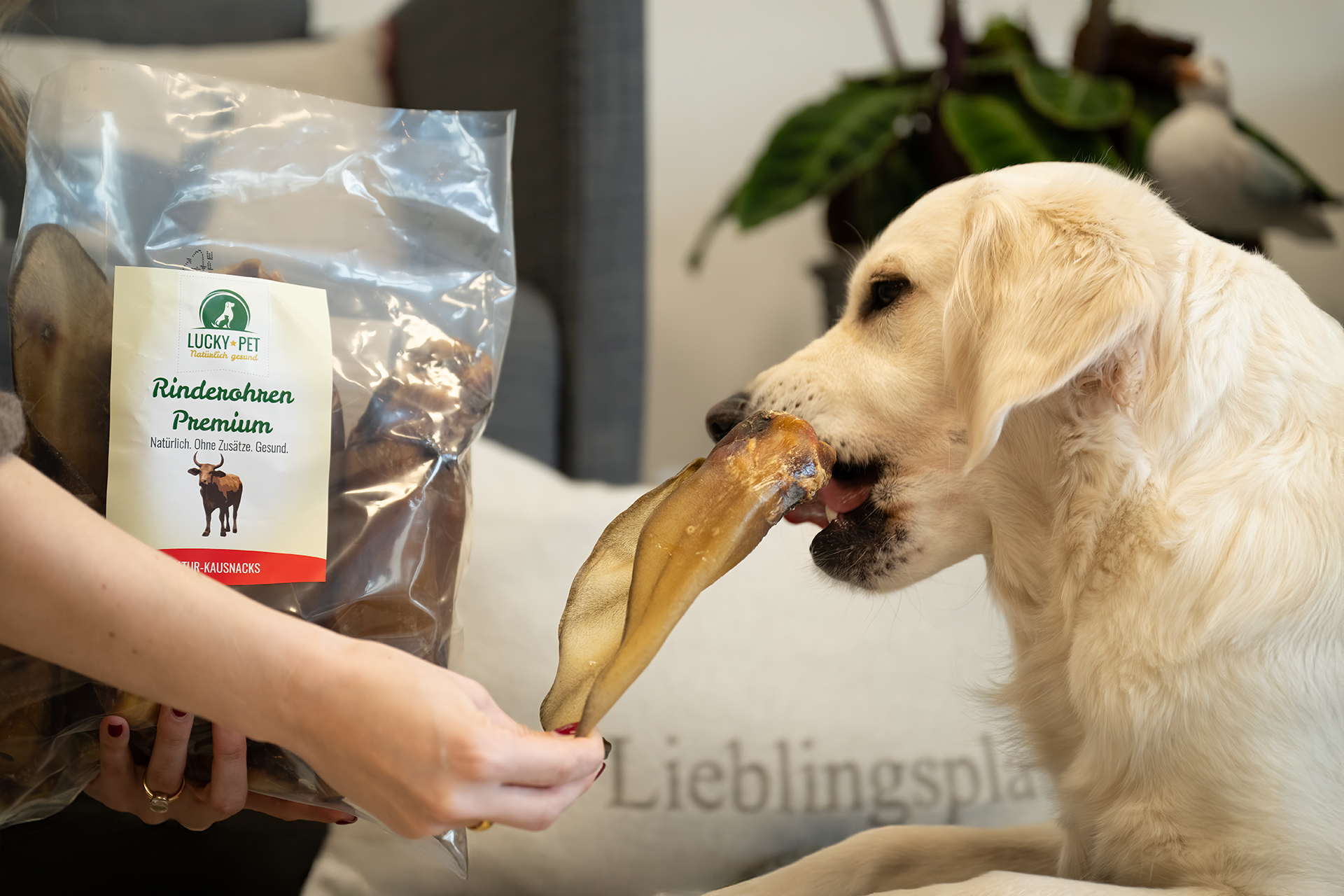 Lucky-Pet Rinderohren Premium