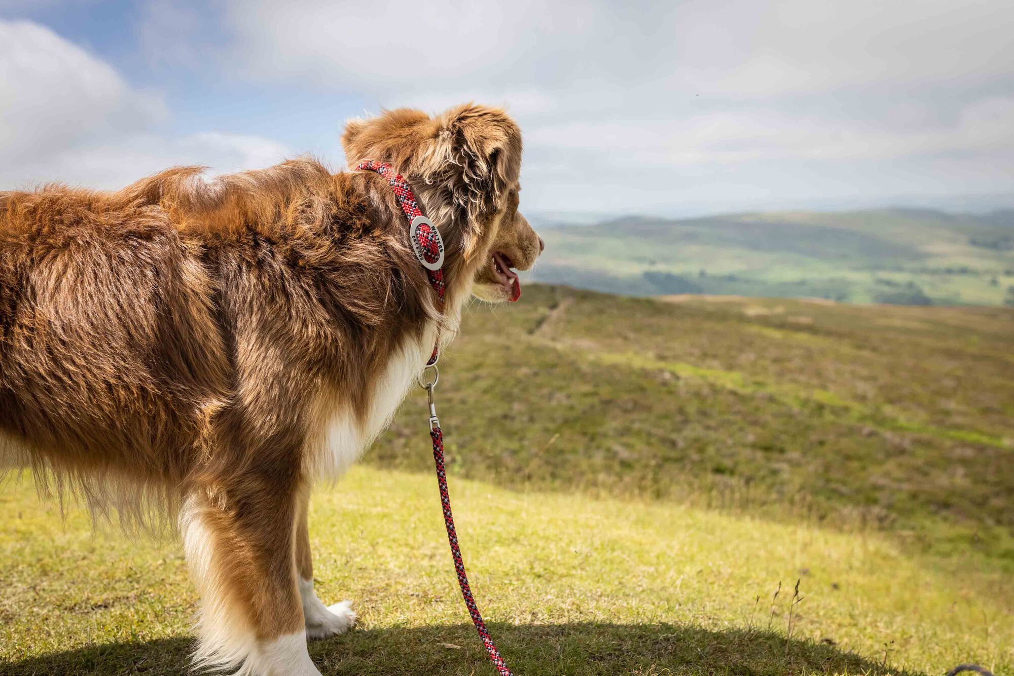 Everest rope programme slip collar