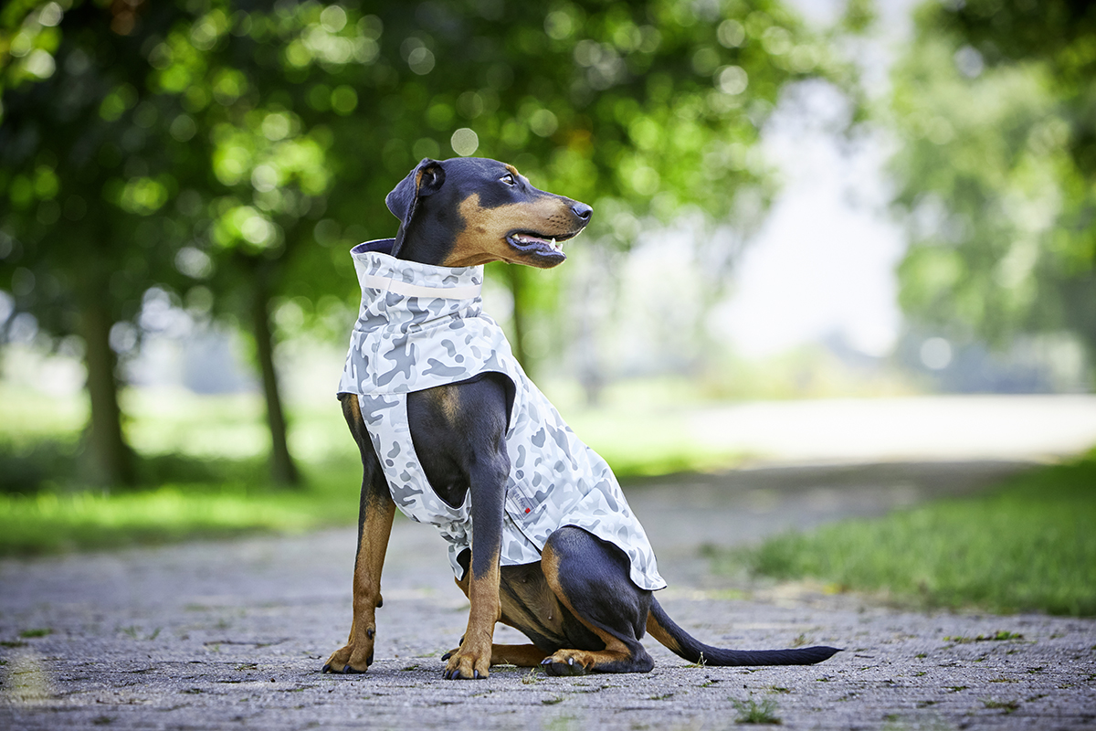 Outdoor Jacket Camouflage