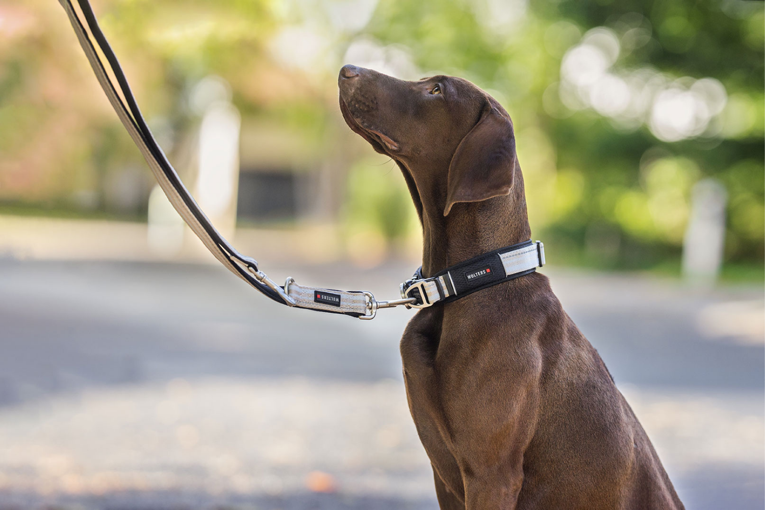 Tierbedarf WOLTERS cat & dog GmbH