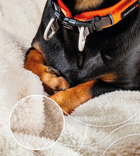 Tierbedarf WOLTERS cat & dog GmbH