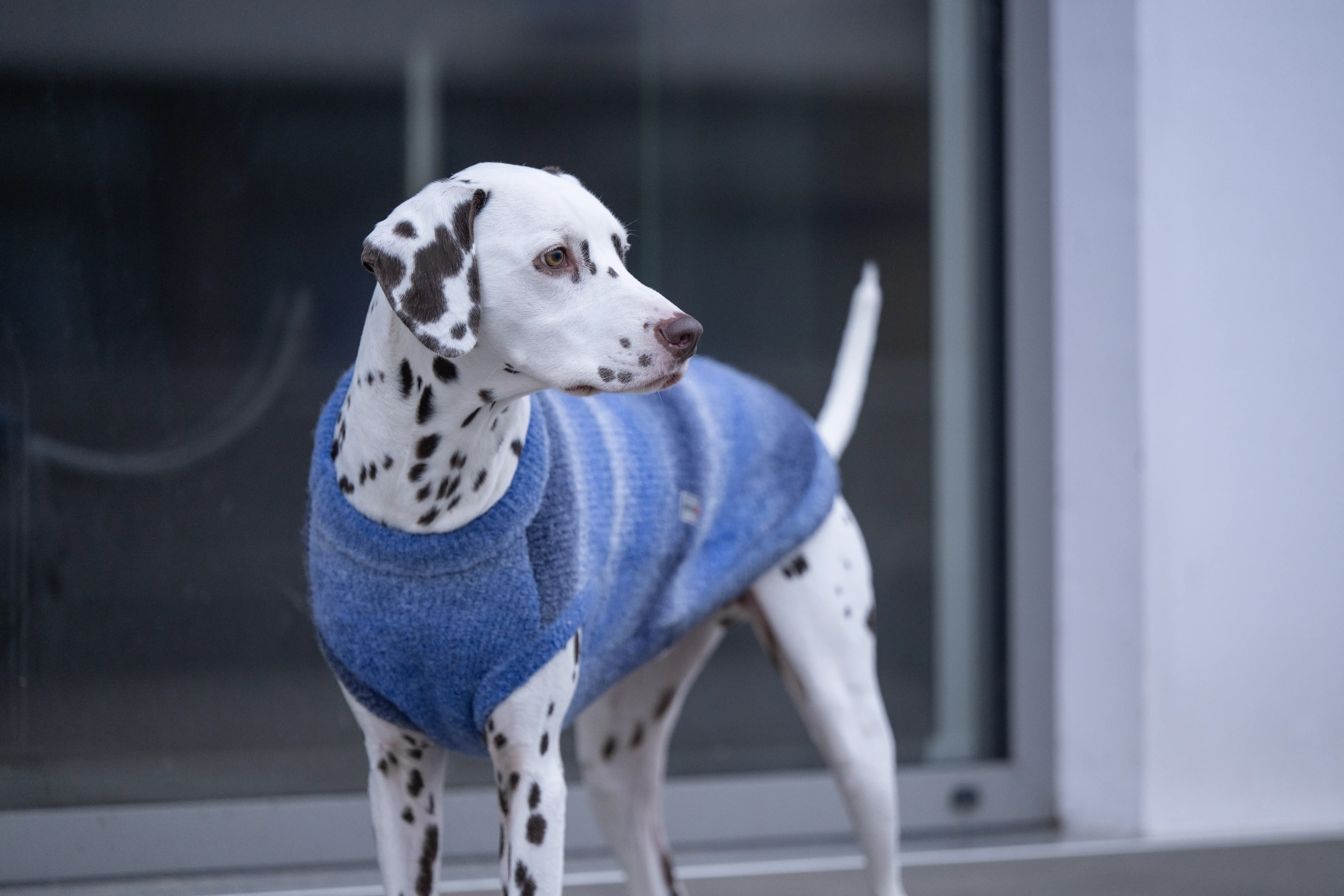 Strickpullover Sky oversized