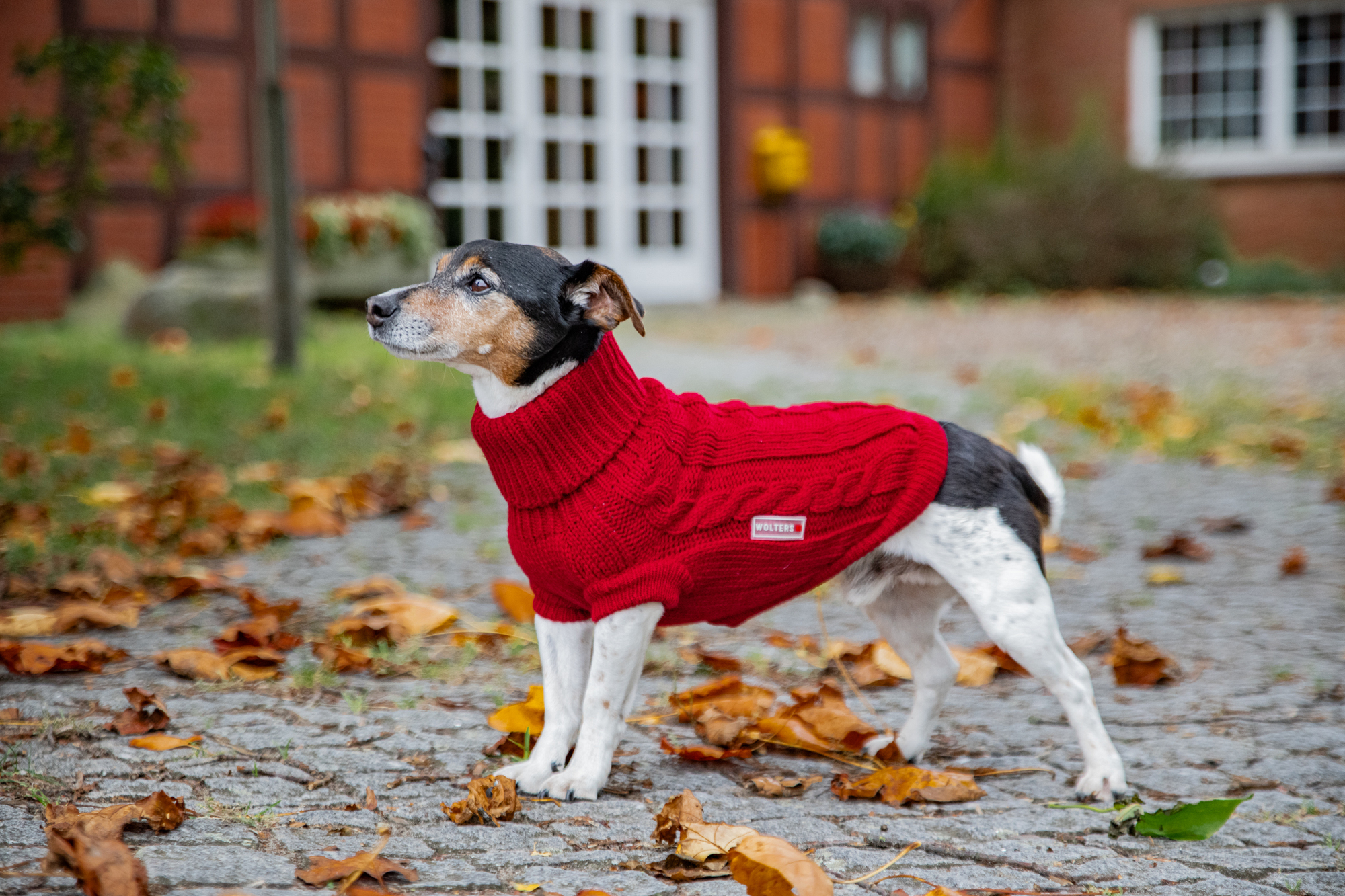  WOLTERS cat & dog GmbH