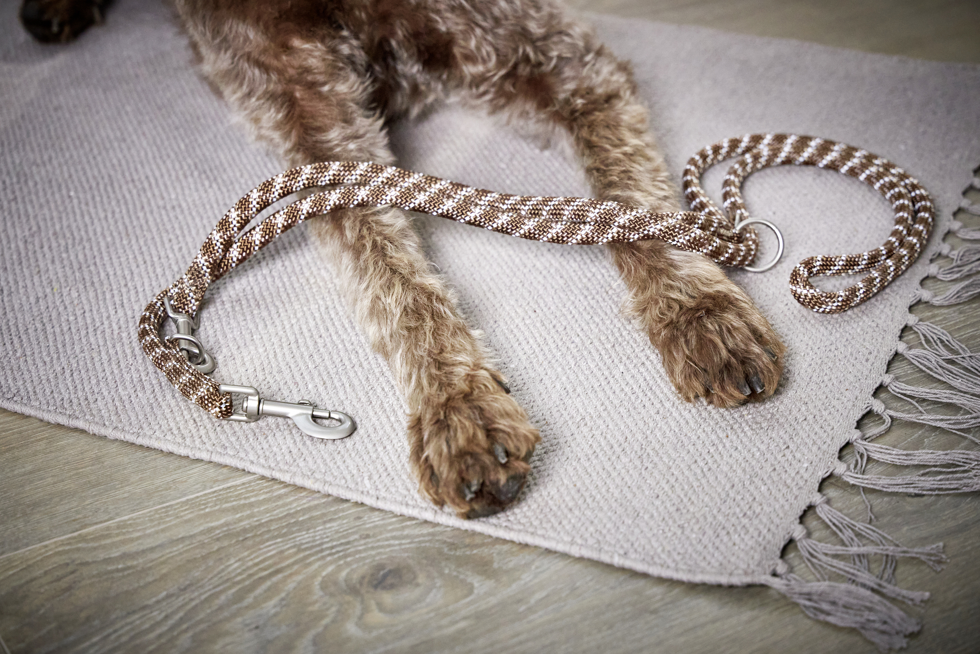 Everest Rope Lead