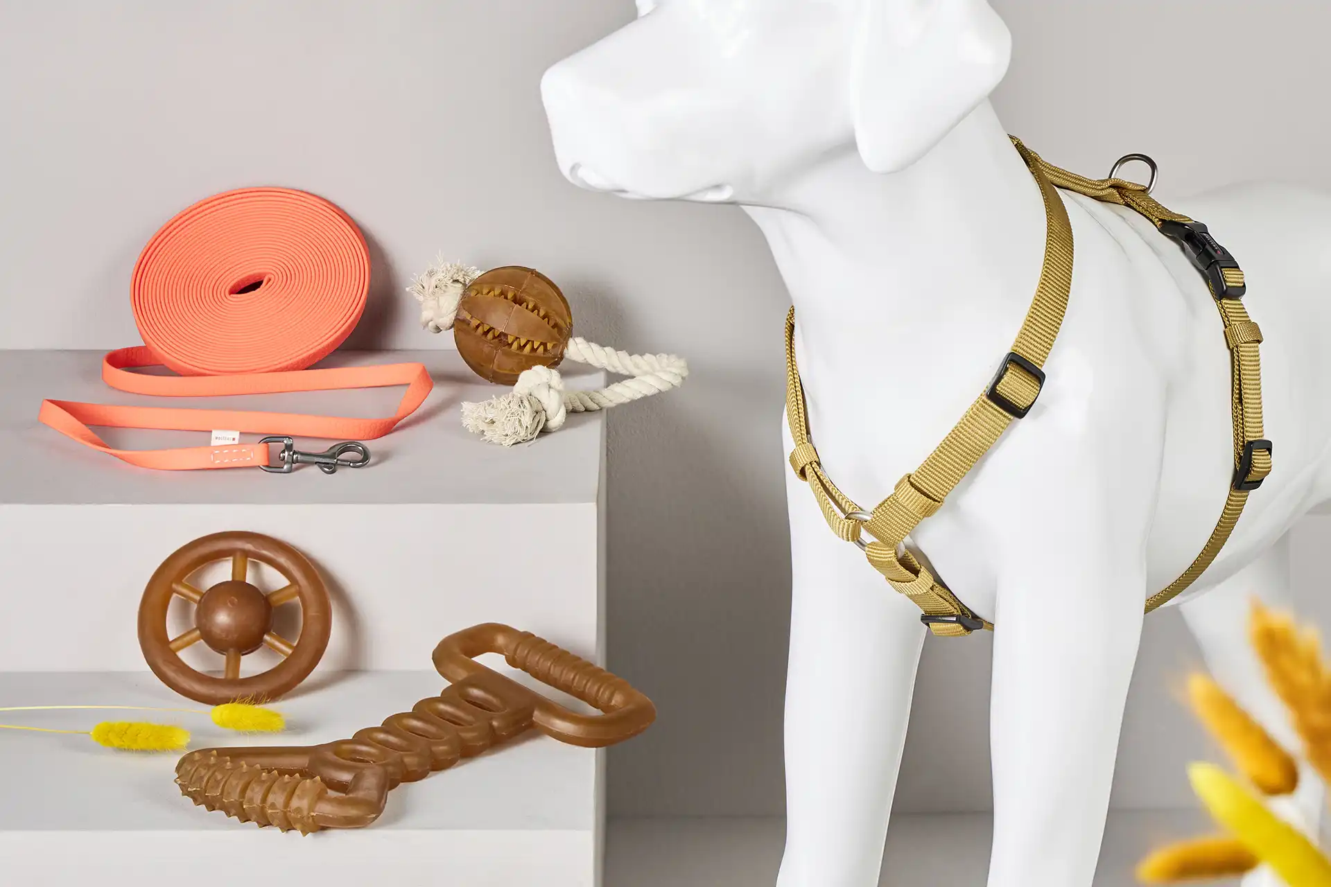 Welpen Starter 3er Set