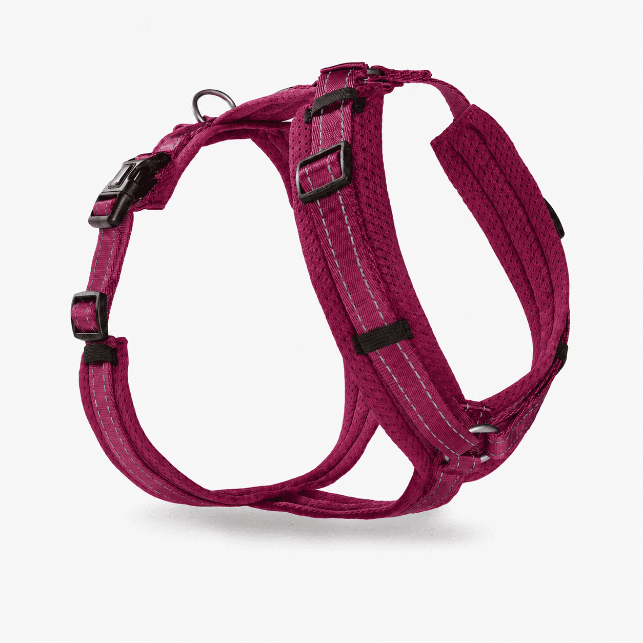 Light Mesh Geschirr WOLTERS cat & dog GmbH