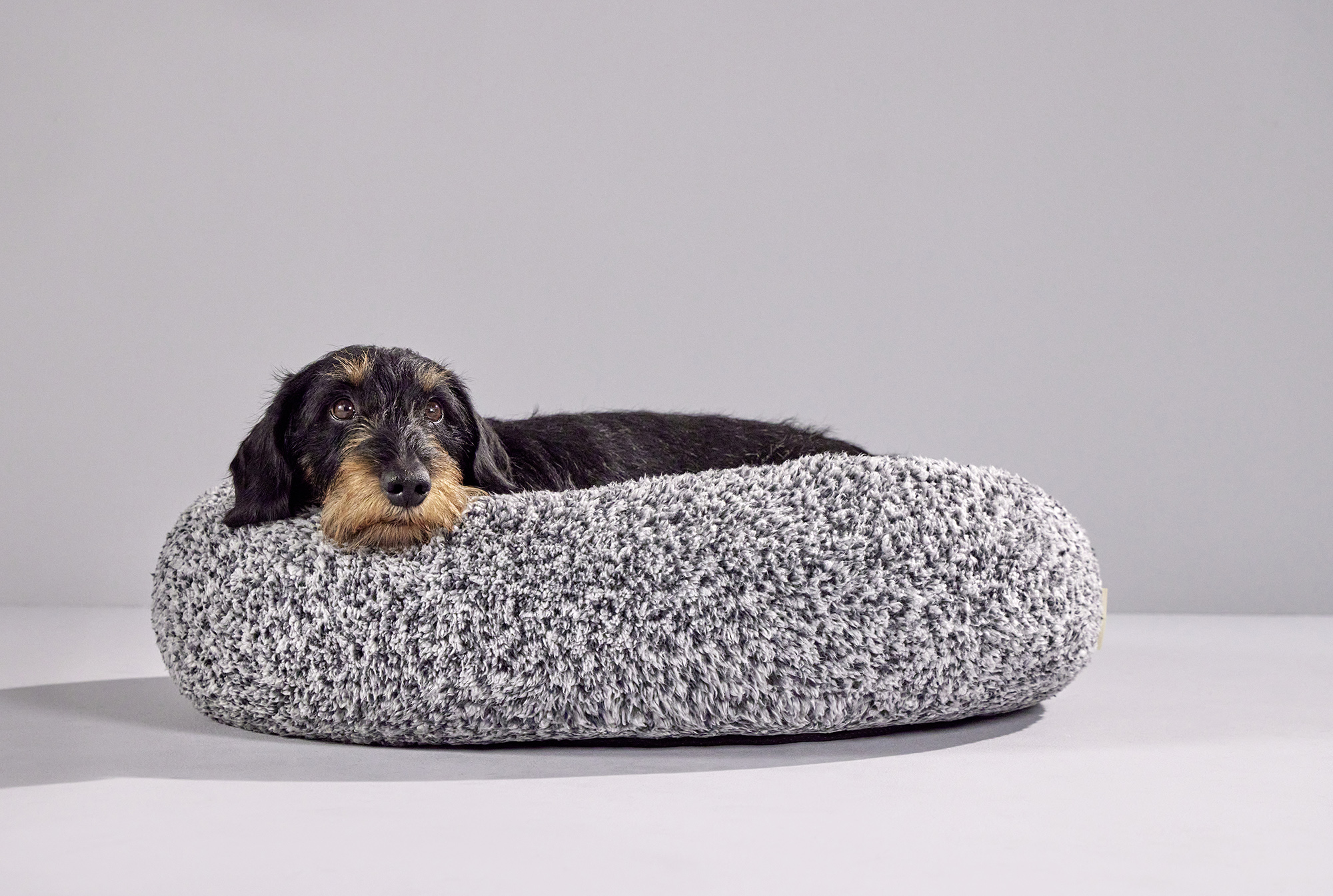 Sweet Dreams dog basket