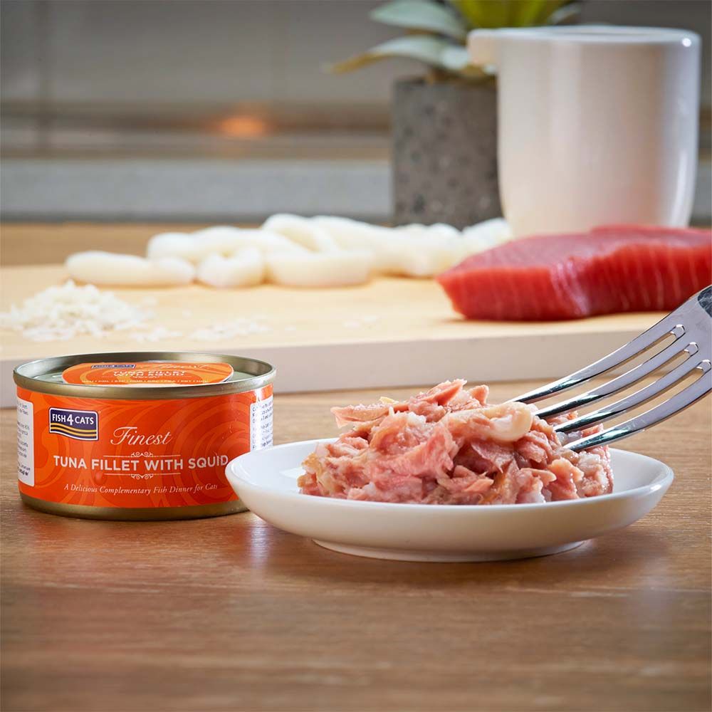Fish4Cats Finest Tuna Fillet with Squid