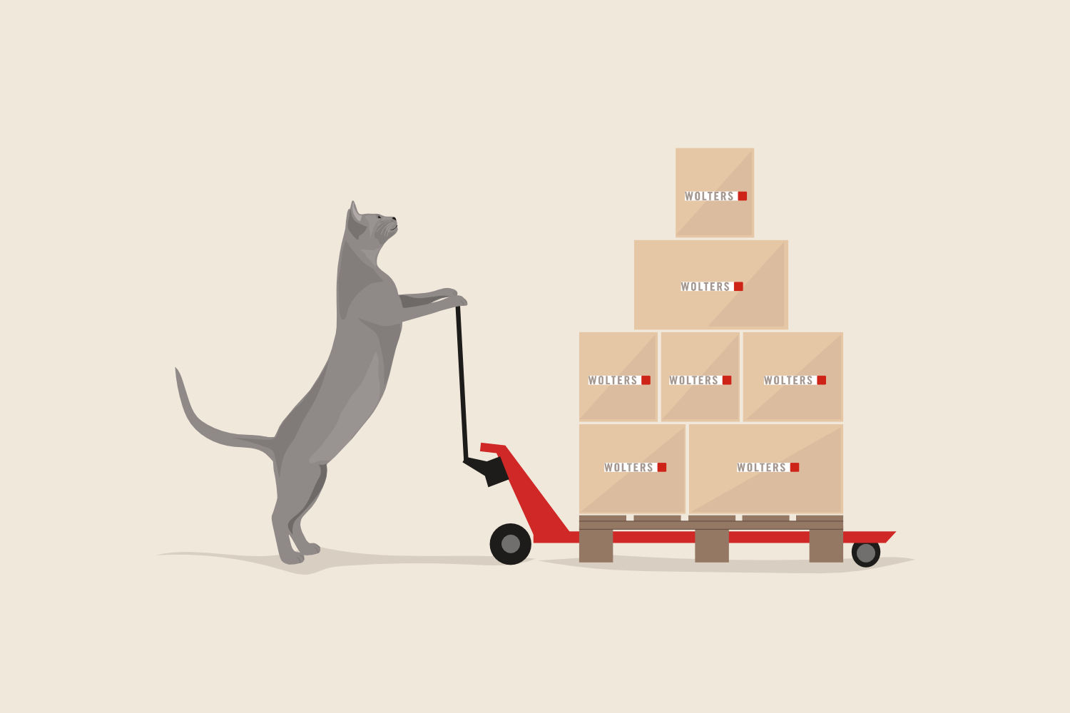 Logistics at WOLTERS