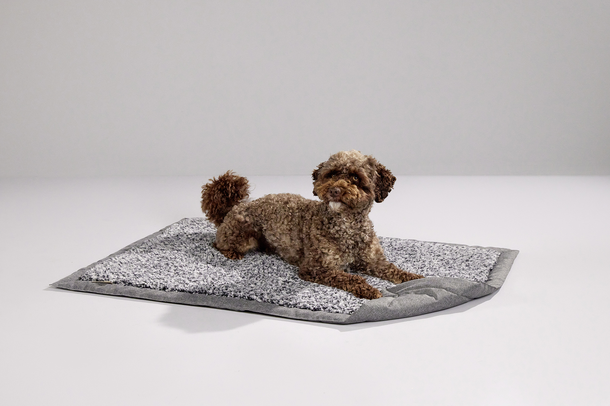 Sweet Dreams Sofa Blanket