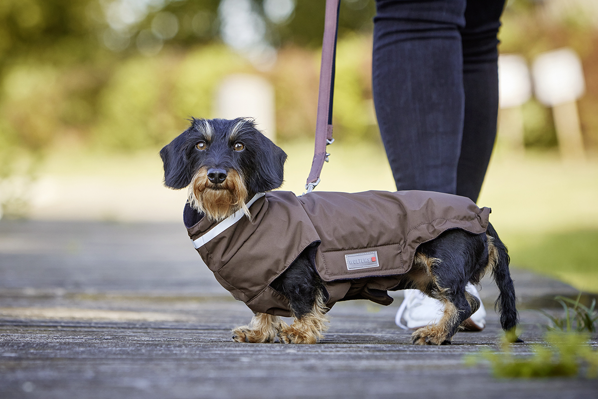 Outdoorjacke Modern Classic – langer Rücken
