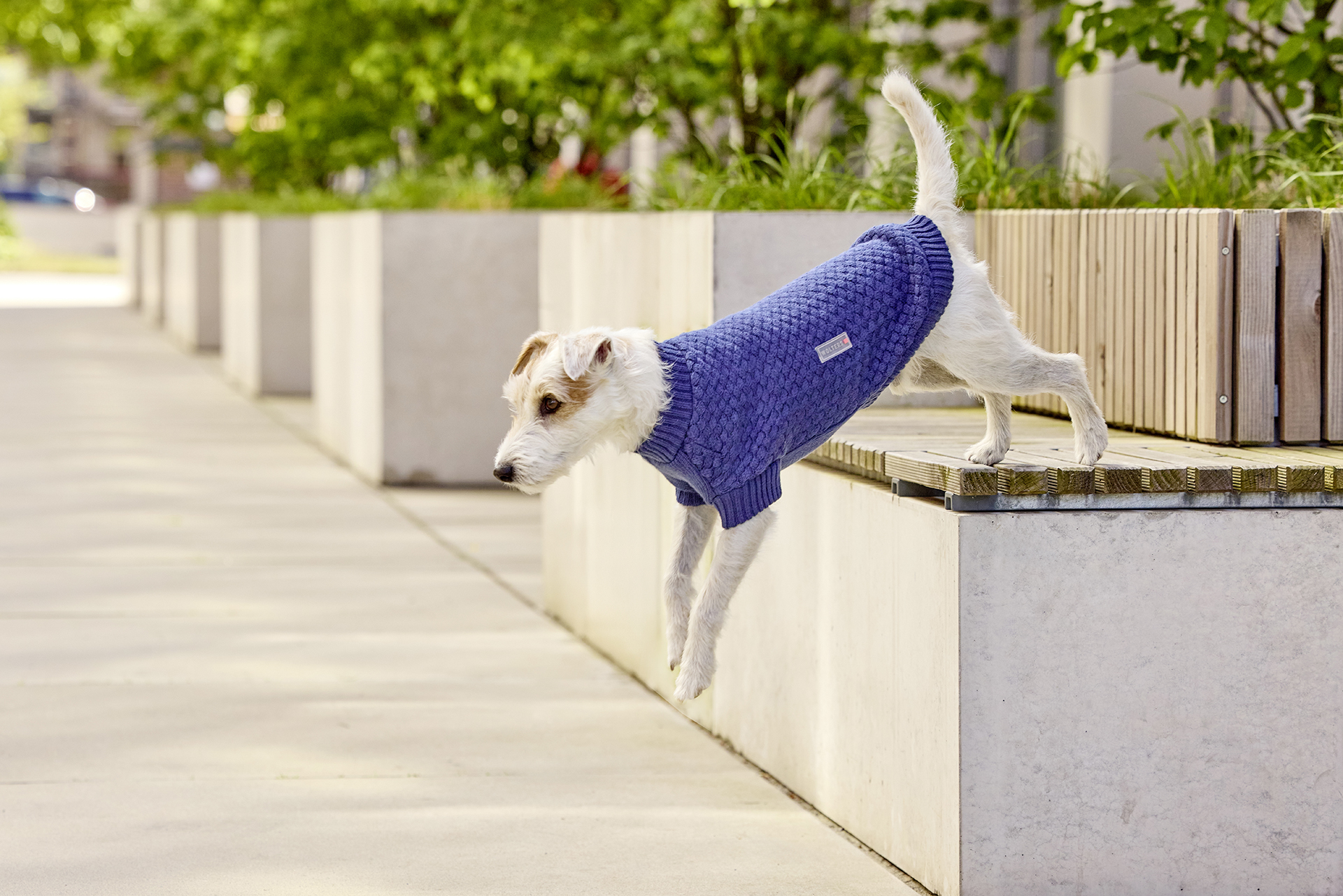  WOLTERS cat & dog GmbH