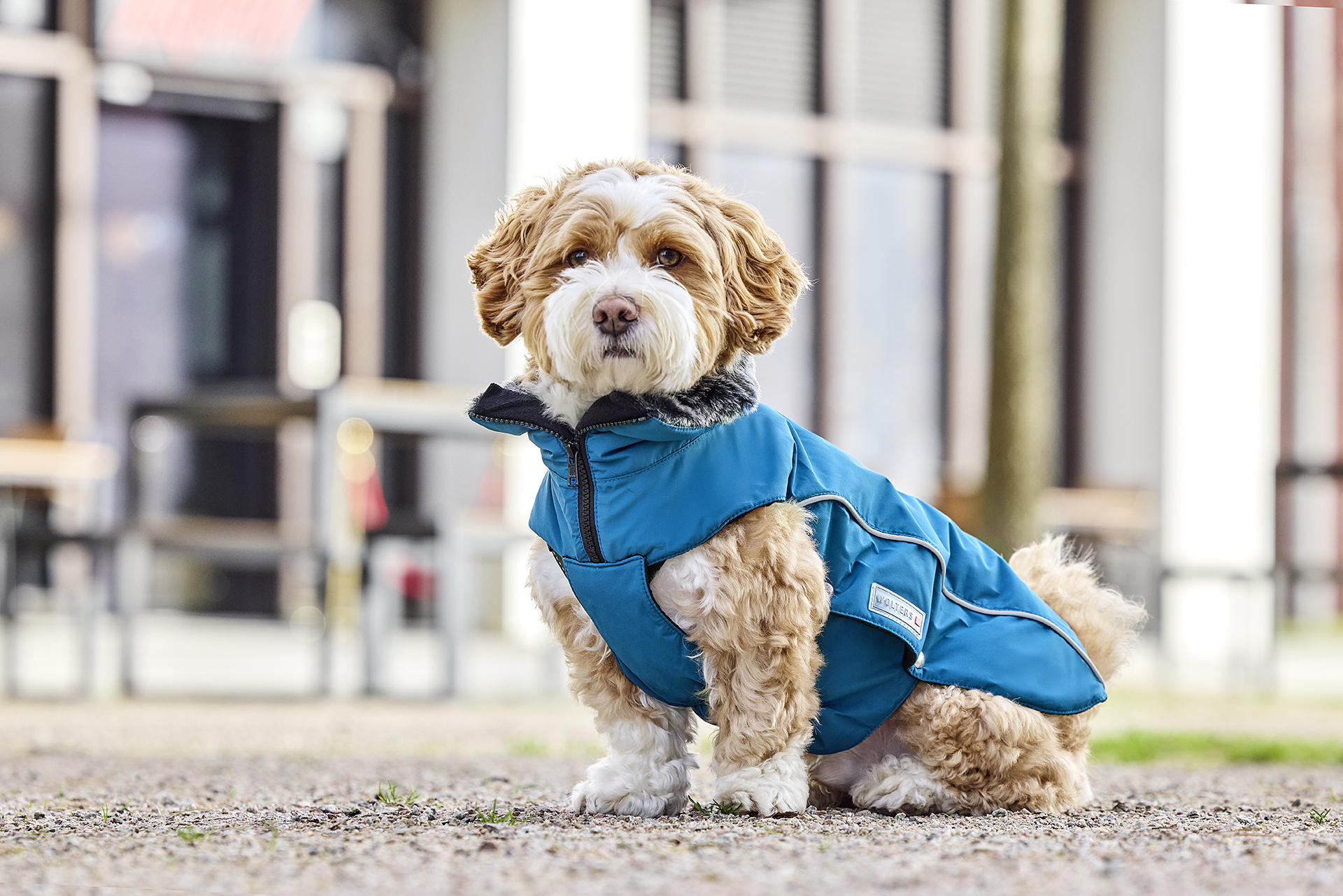 Amundsen Winter Jacket