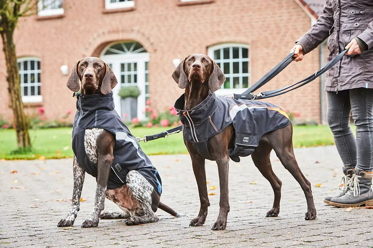 Dog clothing | WOLTERS cat & dog GmbH