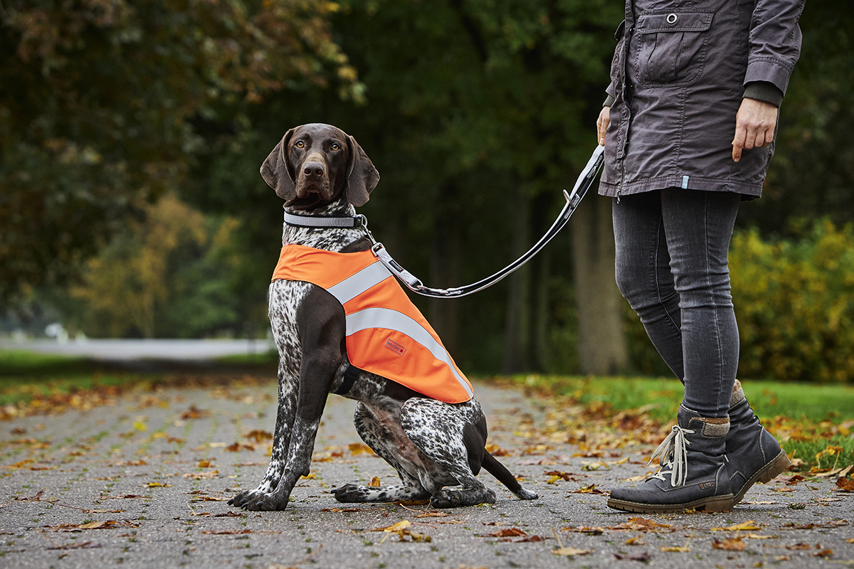 Escape-proof Vest Security