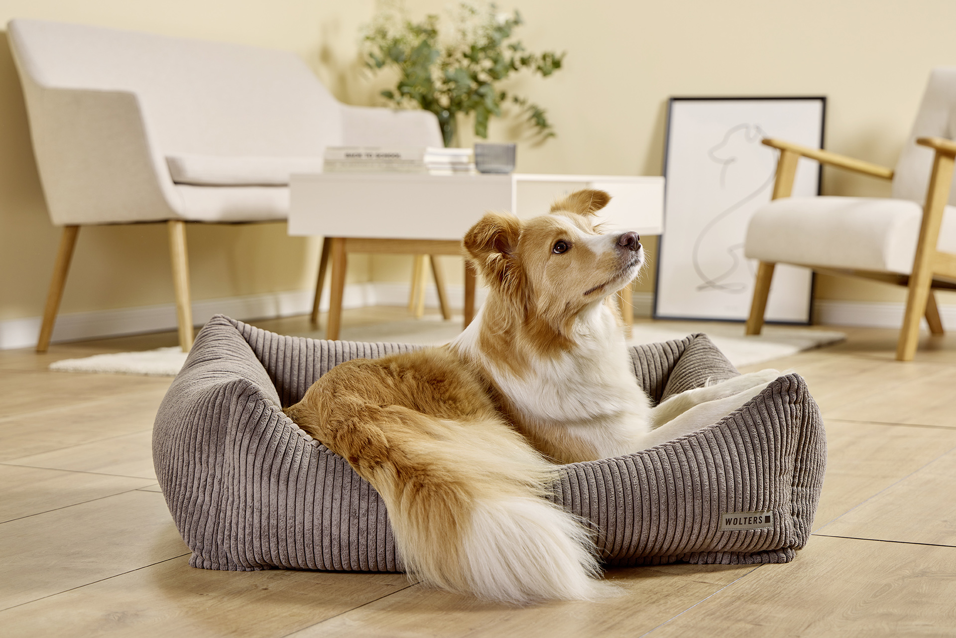 Kilian Cord Lounge