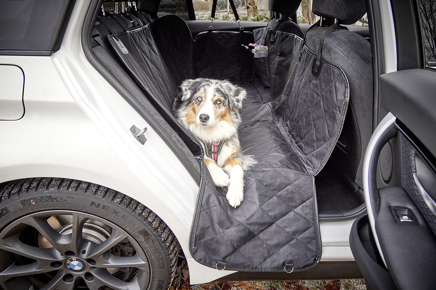  WOLTERS cat & dog GmbH