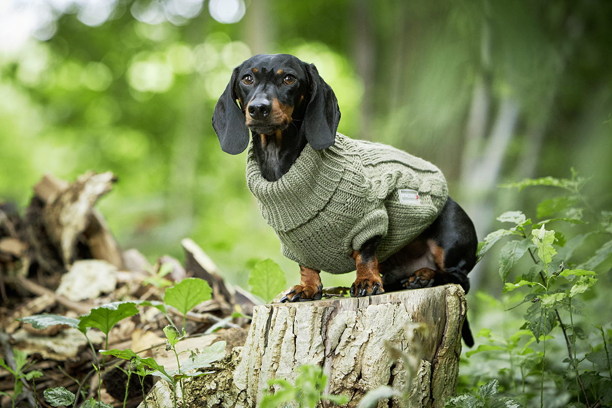 Strickpullover Zopf