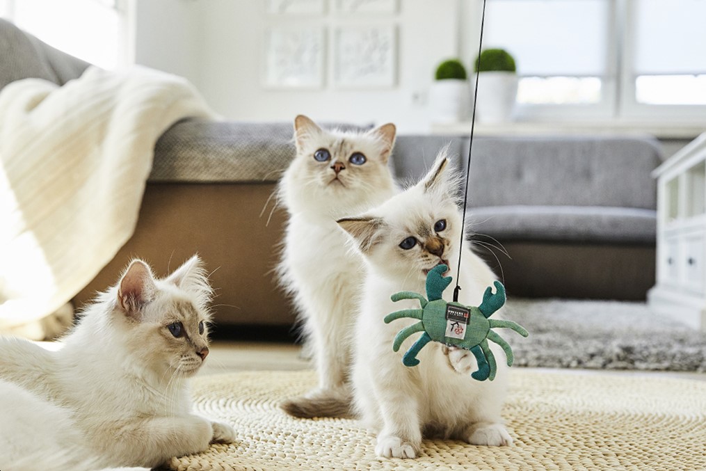 Garten & Heimwerken Tierbedarf Katzenzubehör Katzenspielzeuge Nobby Katzenwedel mit Spielzeug 41cm Größe 