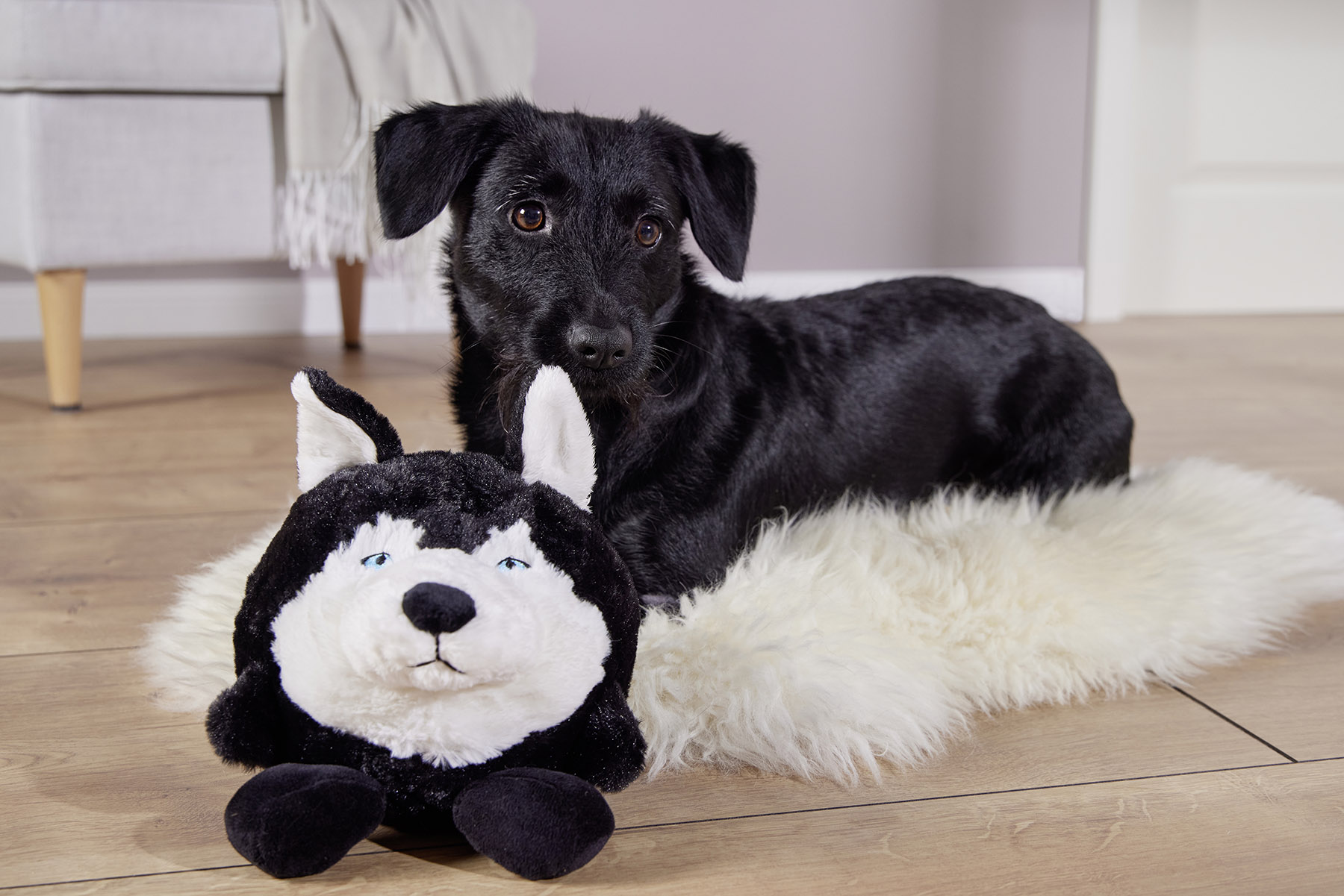  WOLTERS cat & dog GmbH