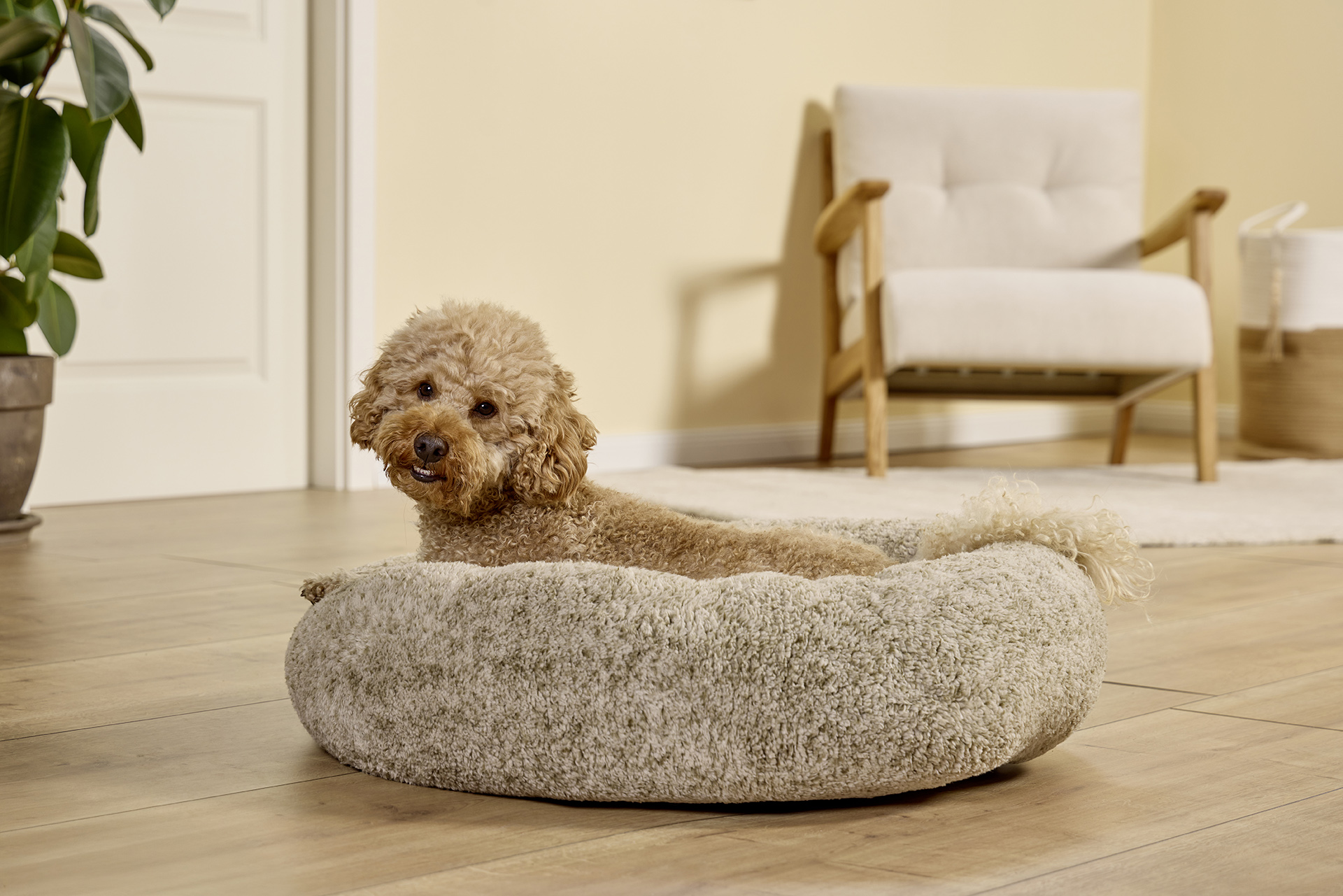 Sweet Dreams dog basket