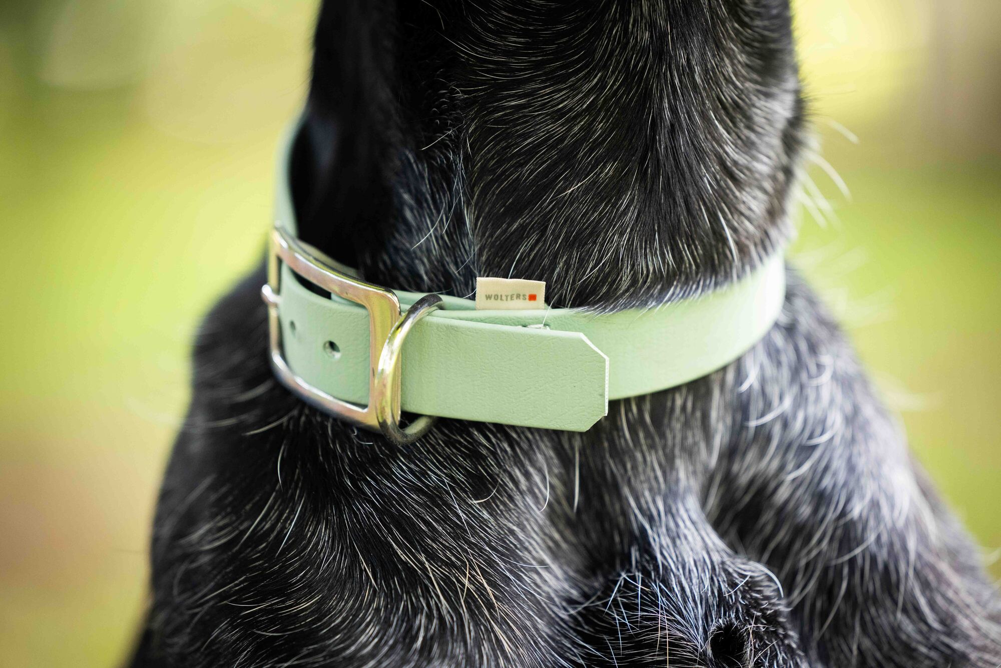 Biothane Halsband
