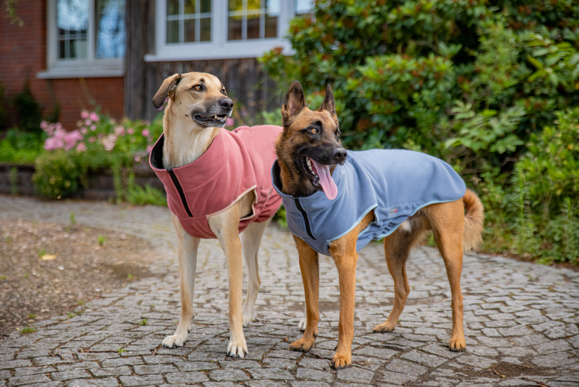 Casual Fleece Jacket