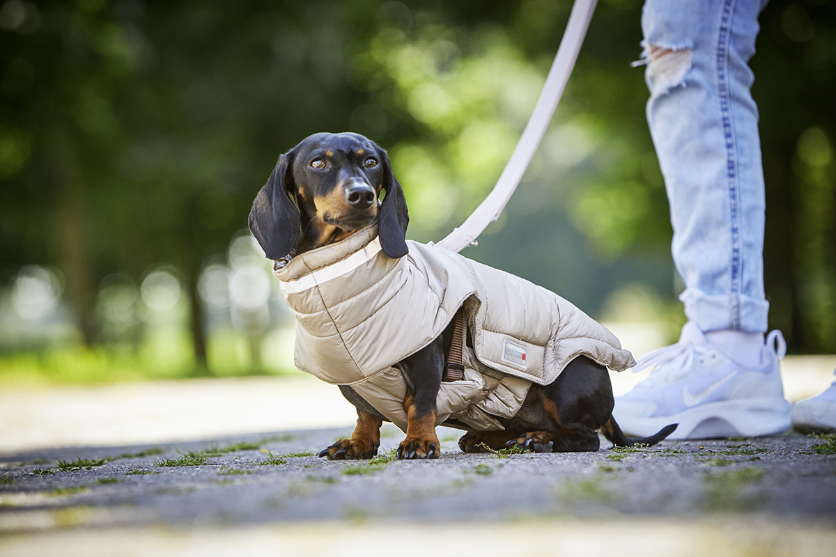 Cosy Quilted Jacket – longer back