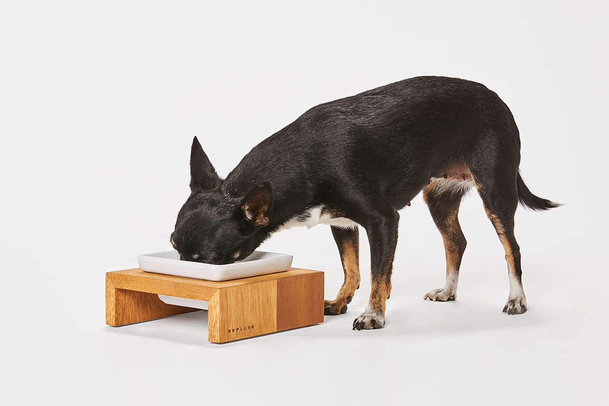  WOLTERS cat & dog GmbH
