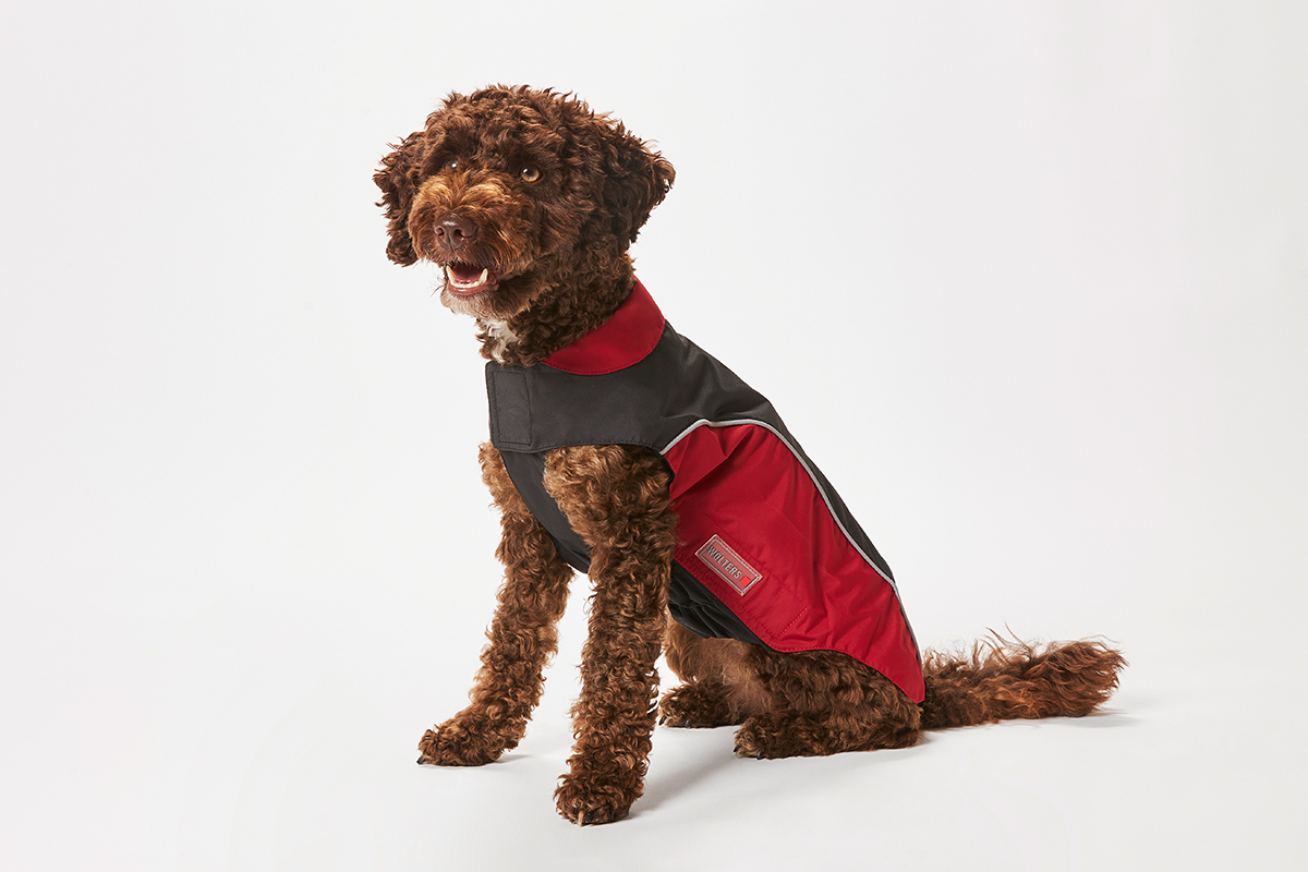 WOLTERS cat & dog GmbH