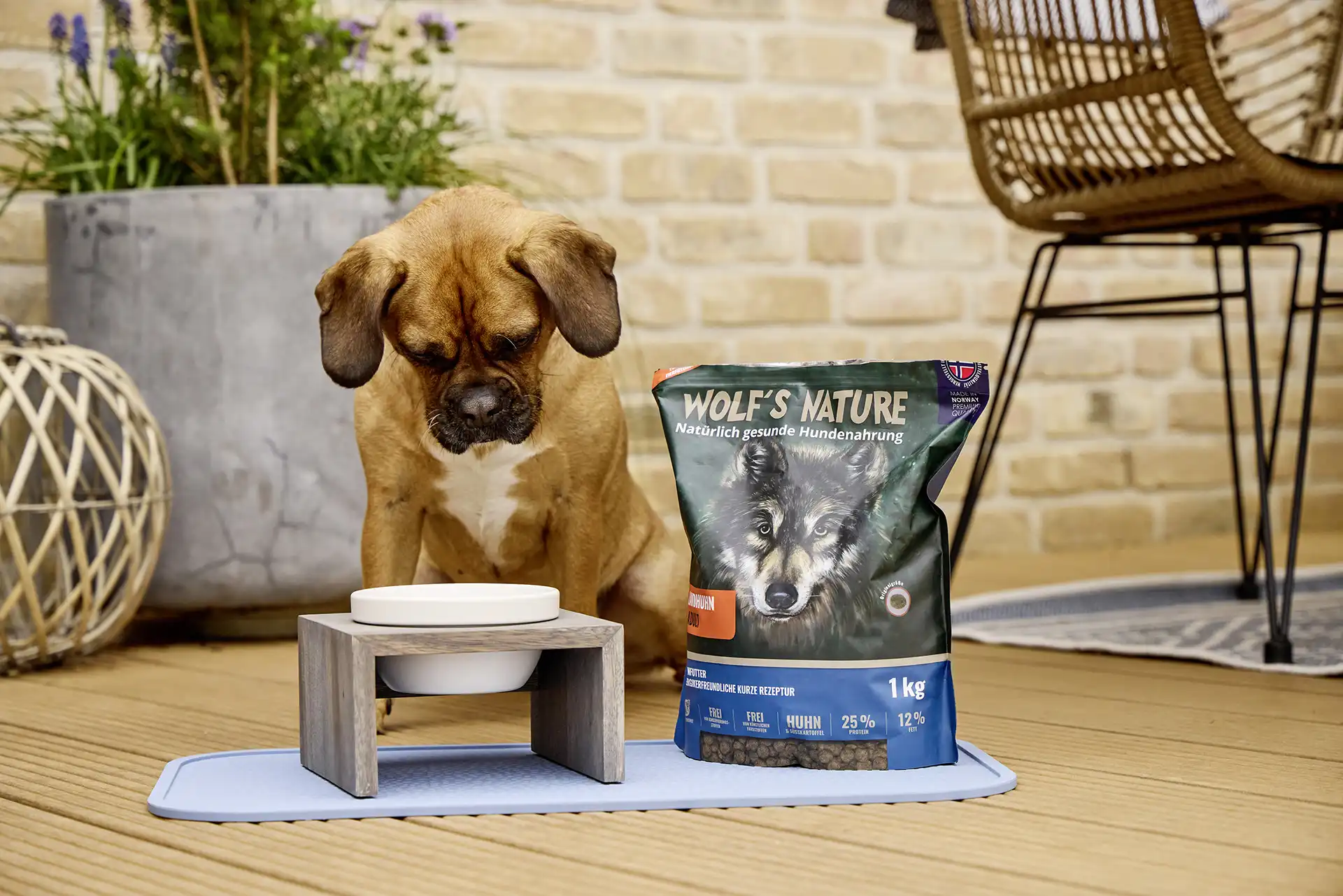 Wolf's Nature adult country chicken