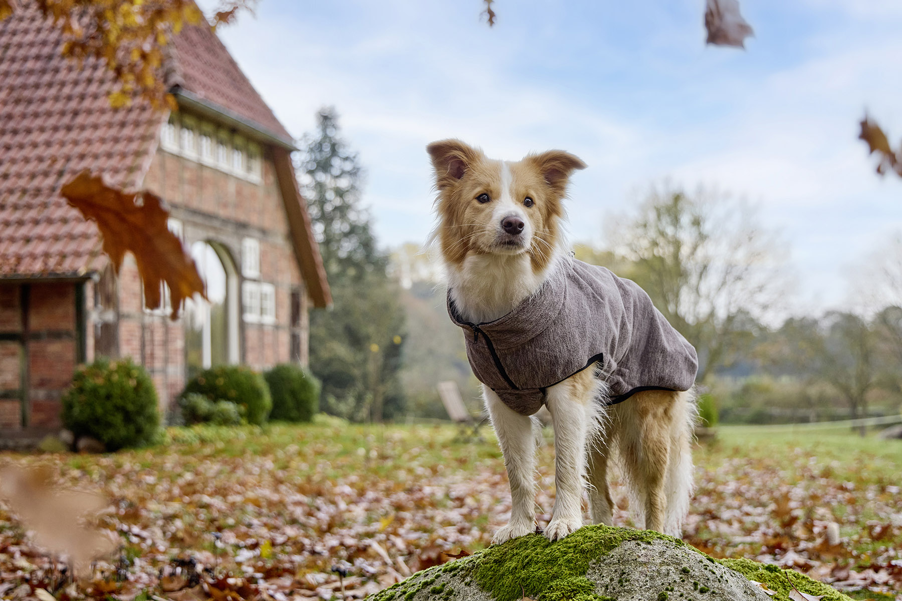 Casual Fleece Jacket