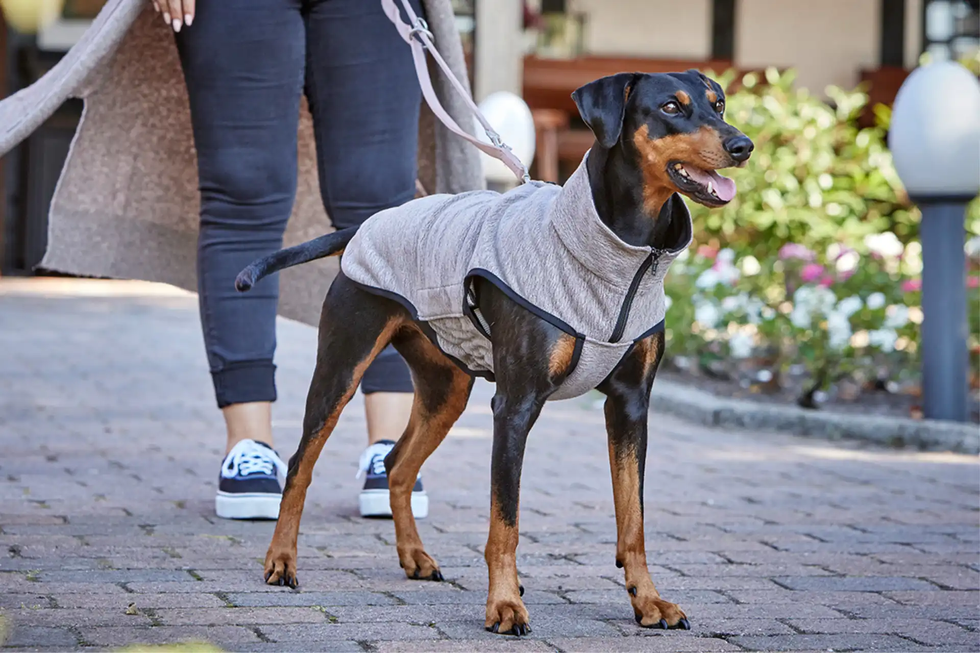 Fleecejacke Casual