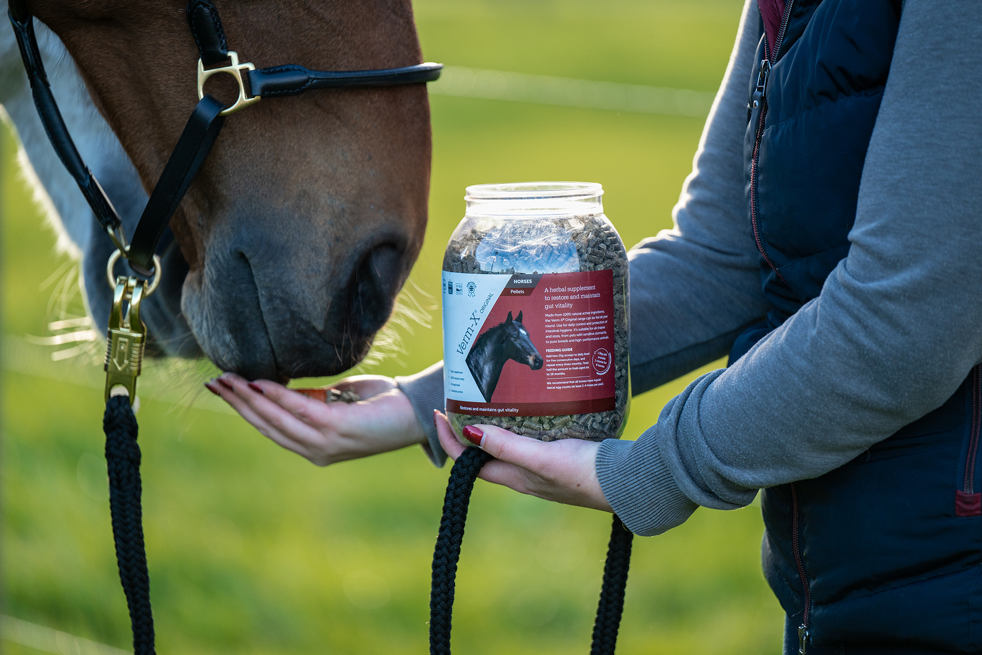 Verm-X Pellets for Horses & Ponies