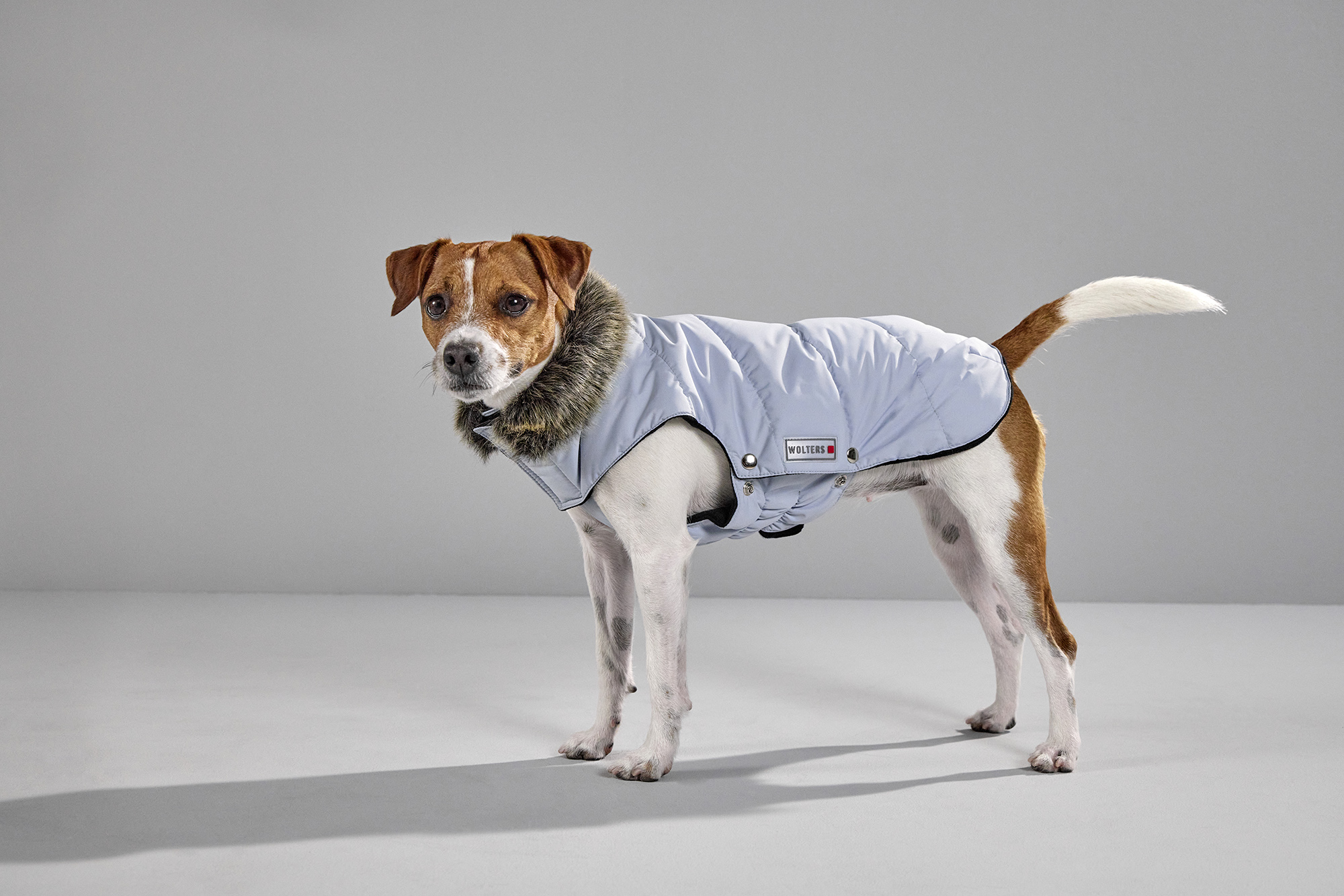Winter coat parka
