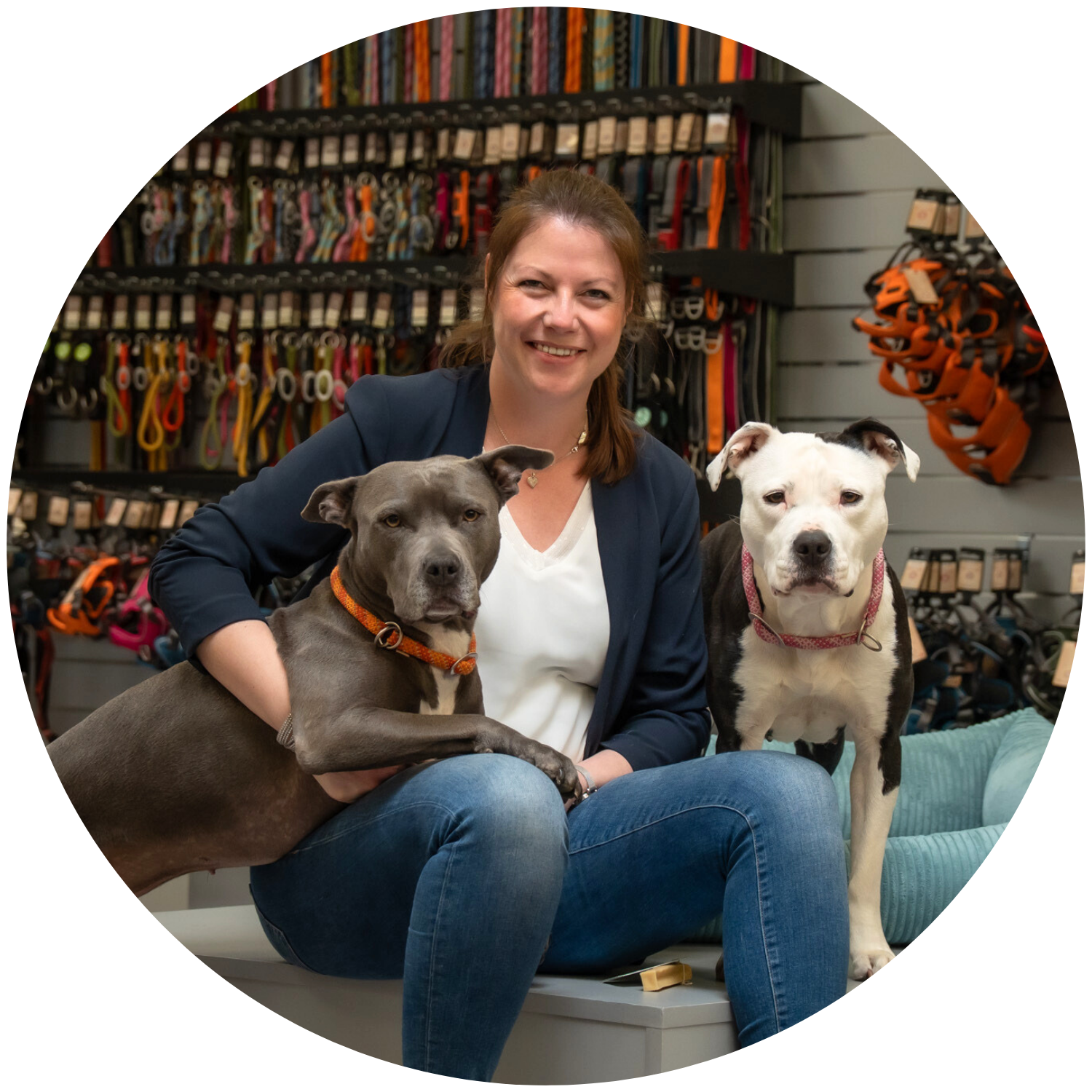 Tierbedarf WOLTERS cat & dog GmbH