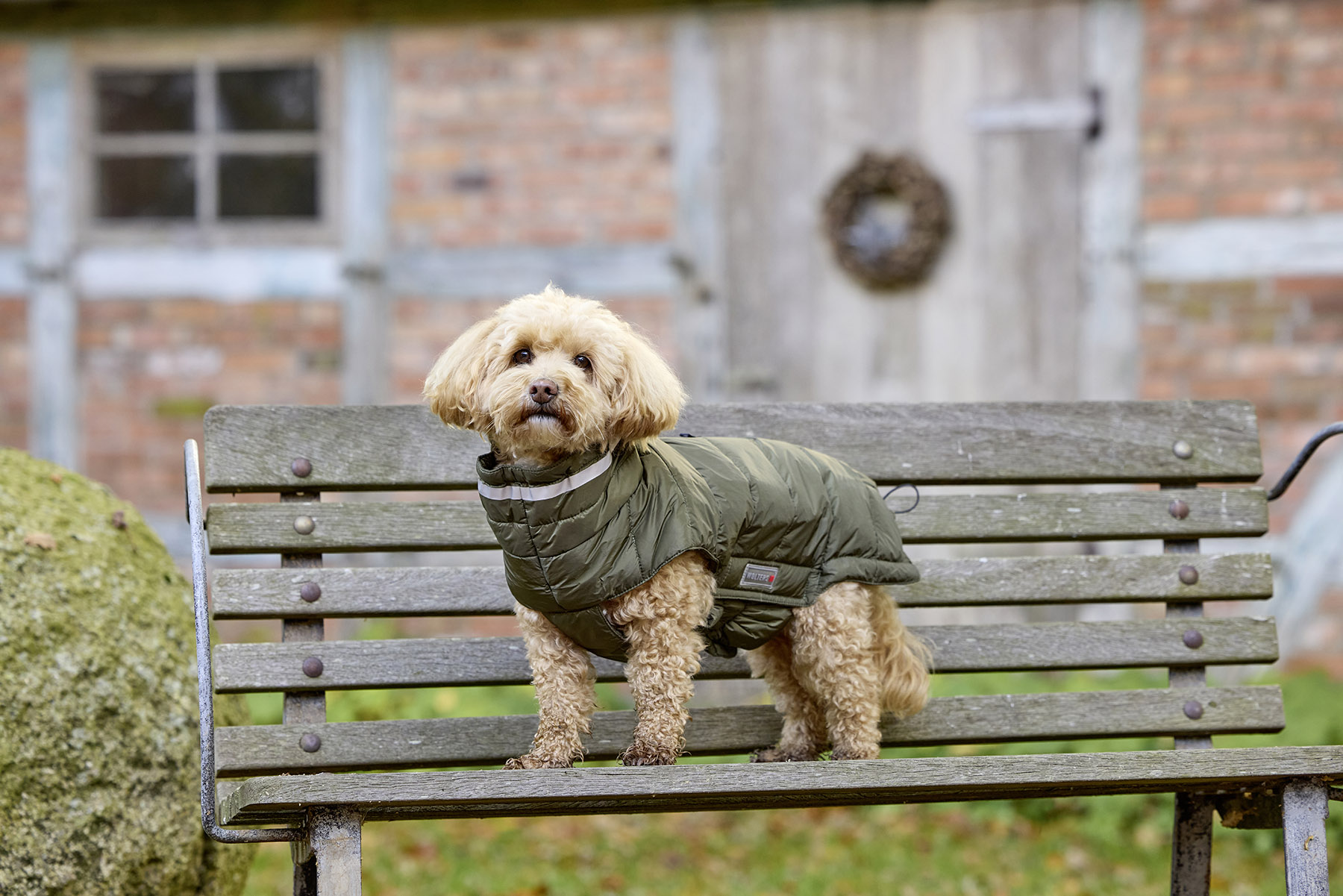 Steppjacke Cosy