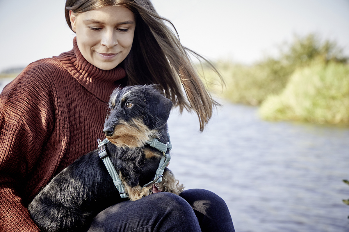 Professional Geschirr WOLTERS cat & dog GmbH