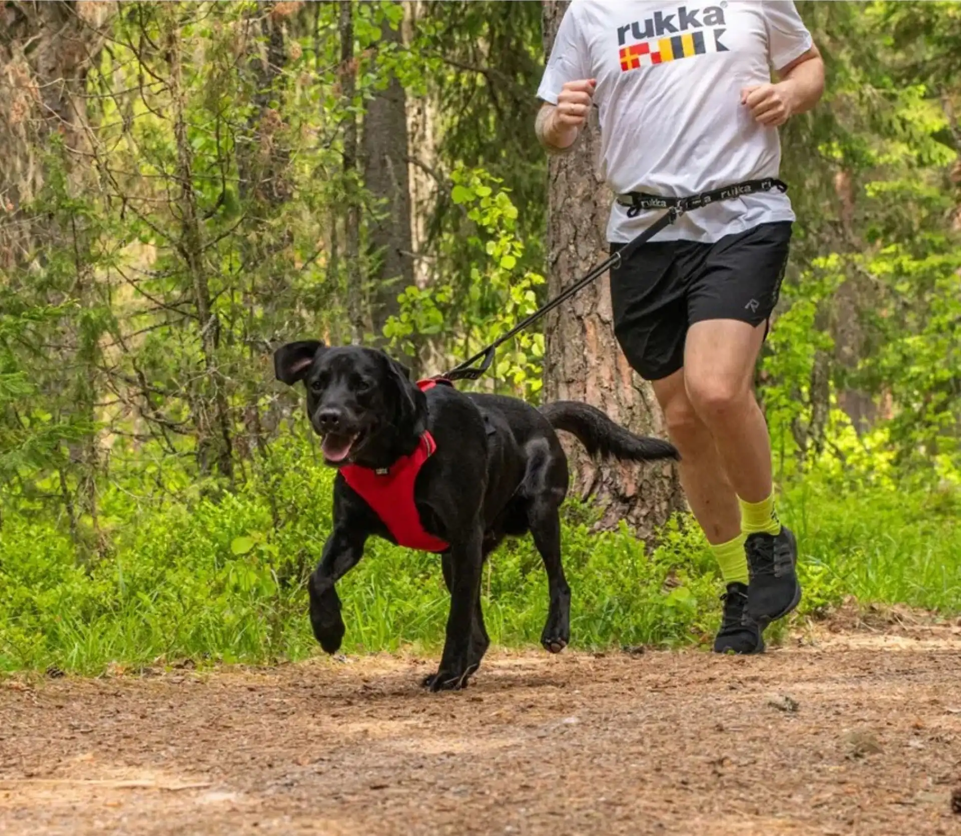 Rukka Pets Laufgürtel mit Leine Hike