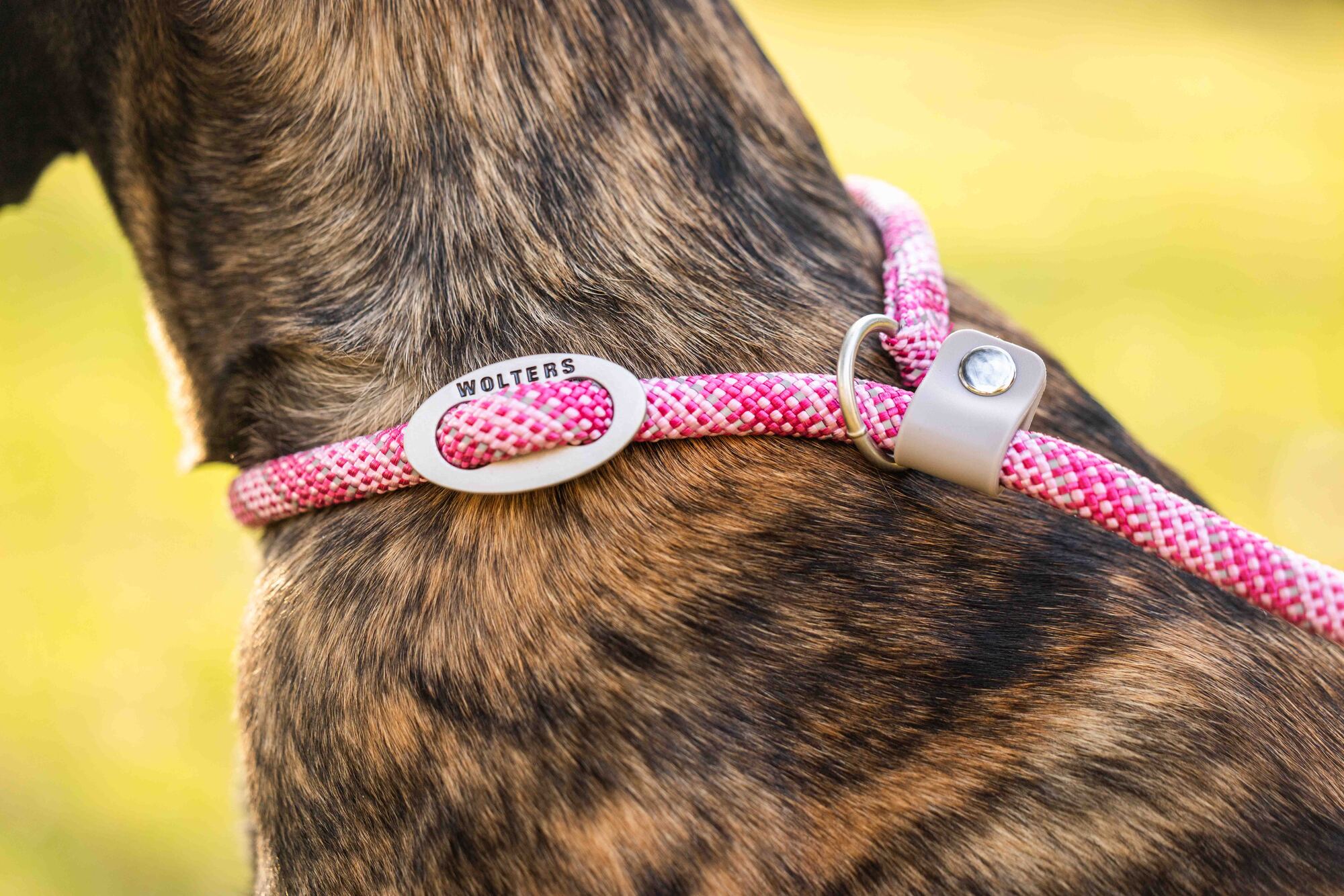 Everest-Tauprogramm Moxonleine WOLTERS cat & dog GmbH