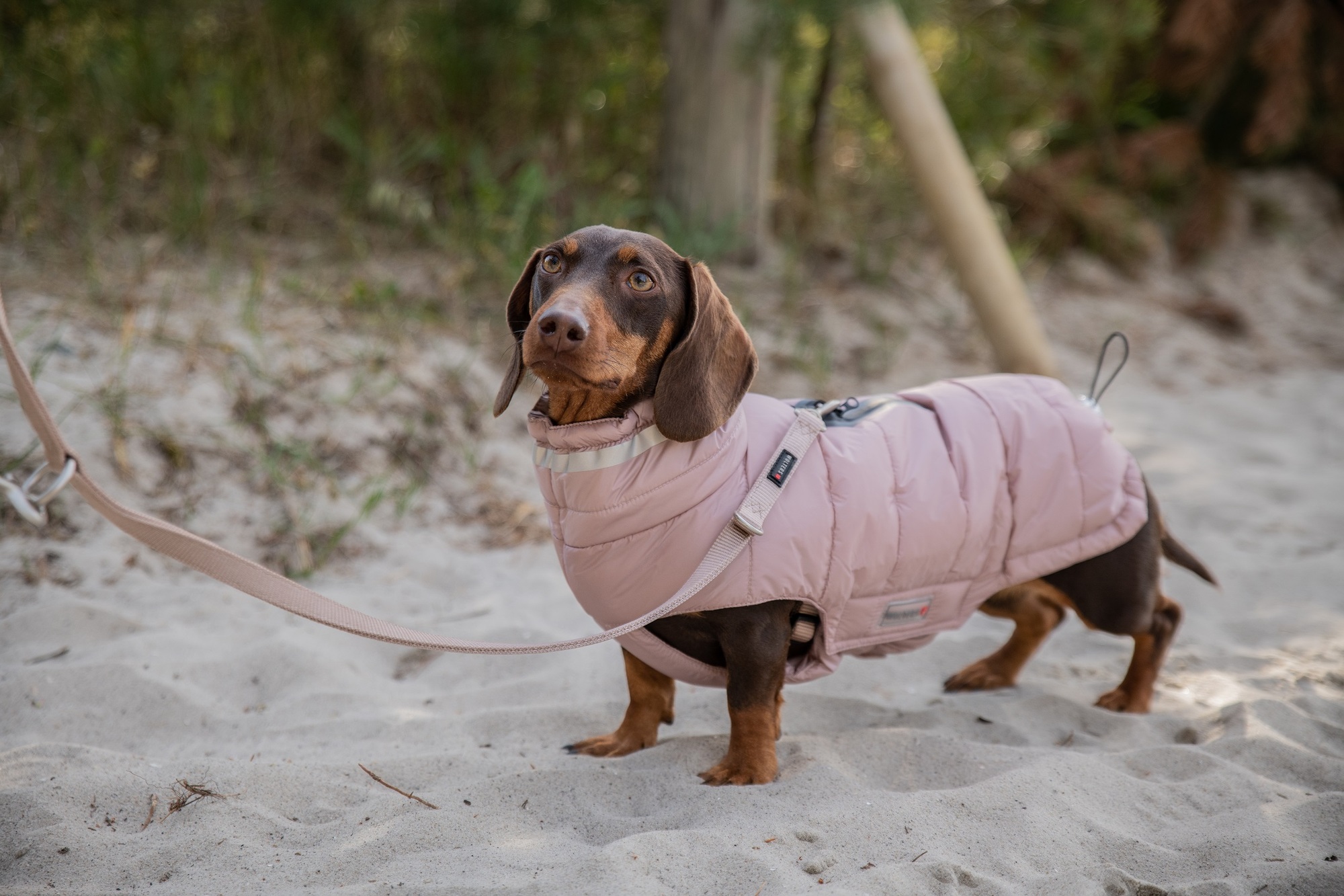 Steppjacke Cosy – langer Rücken