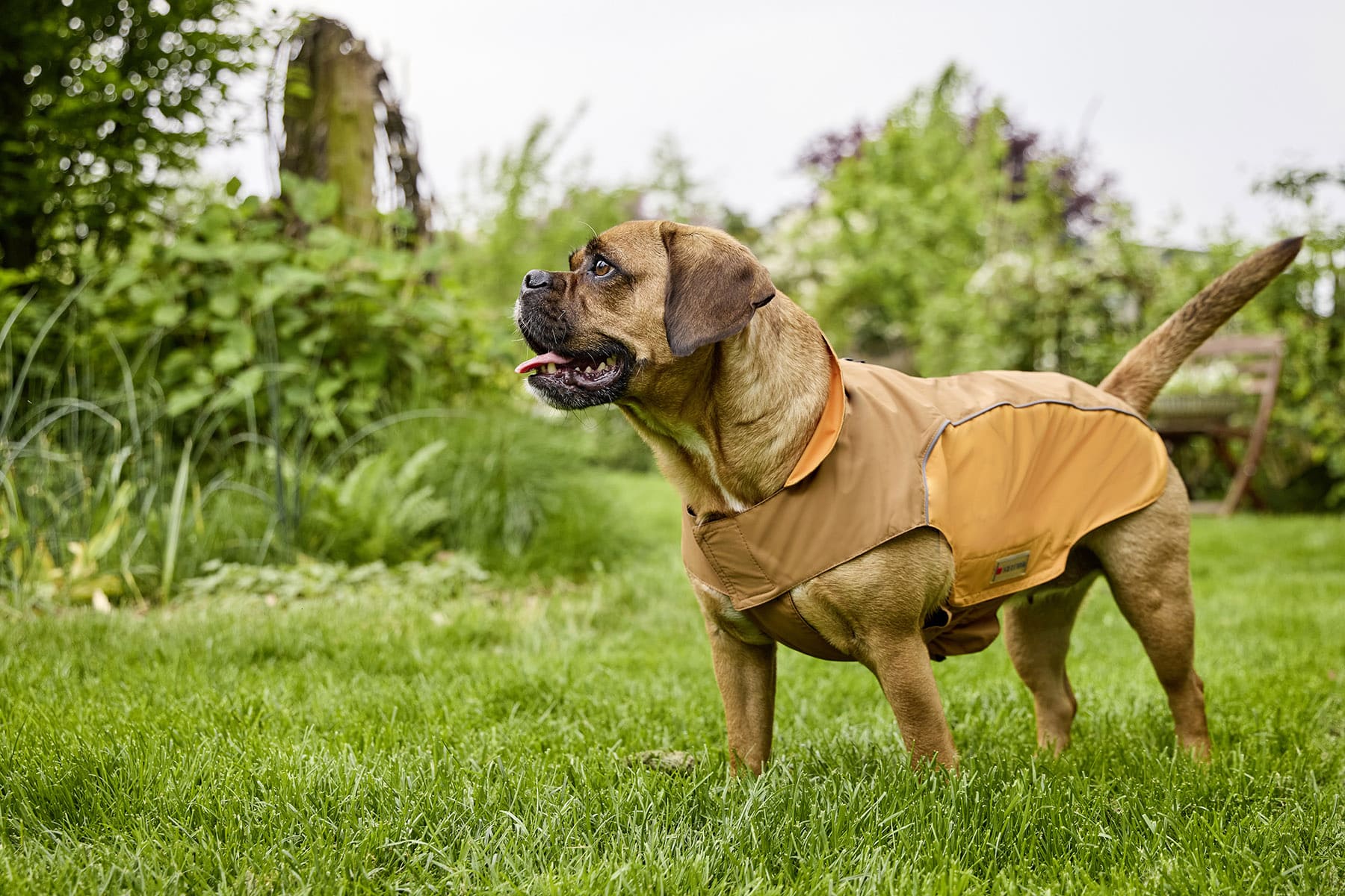 WOLTERS Hundebekleidung