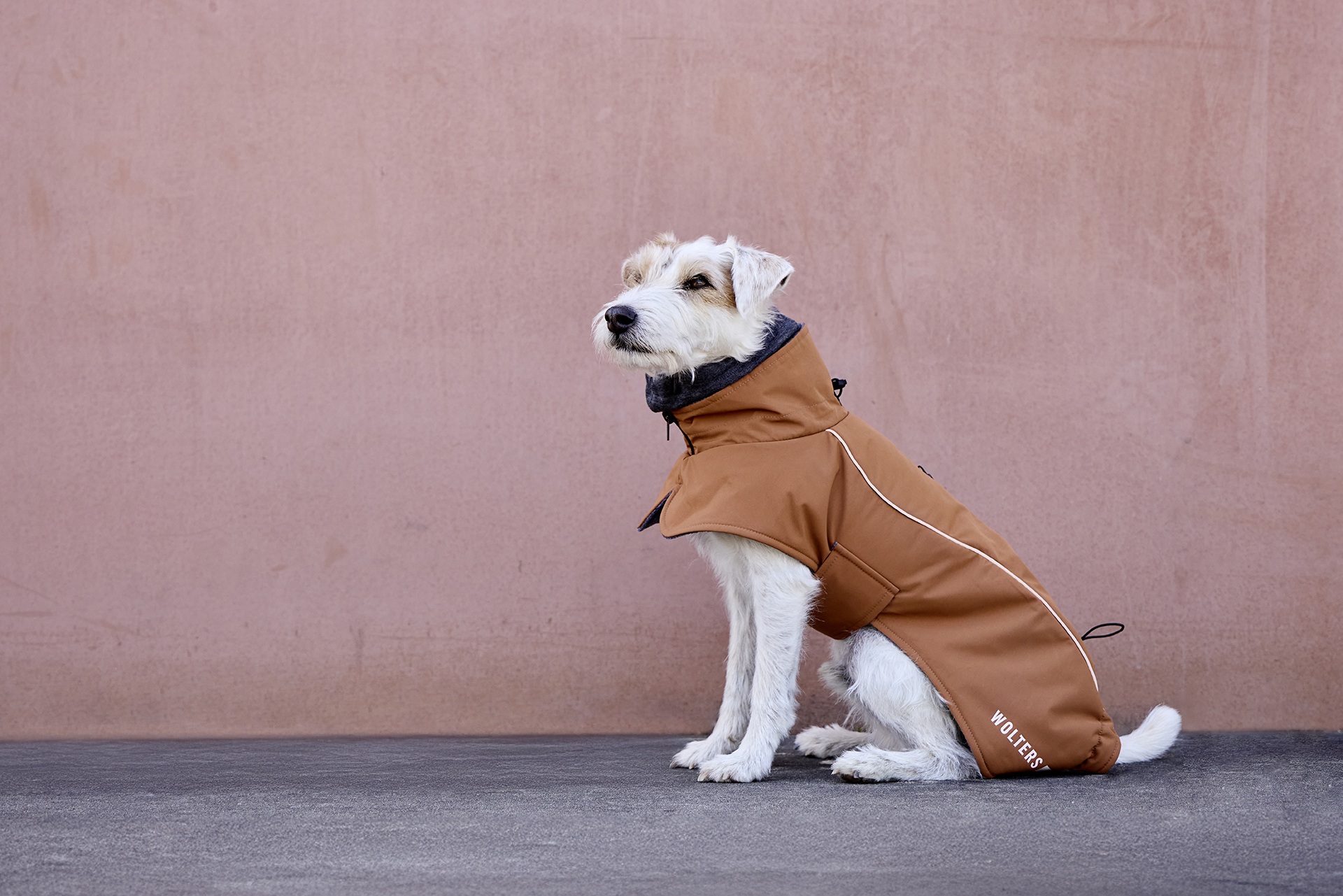  WOLTERS cat & dog GmbH