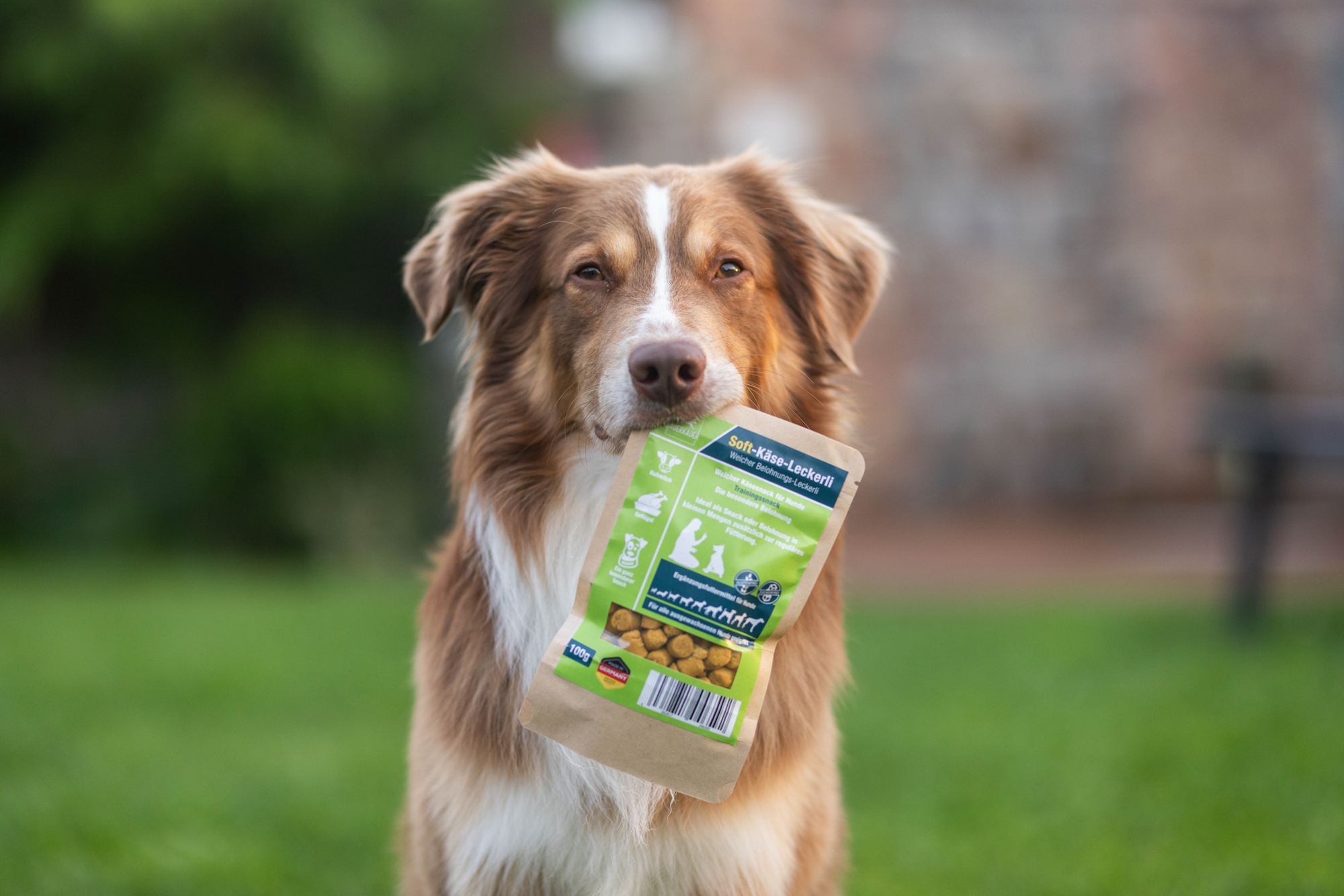 DAUERKAUER Softkäse Belohnungsleckerli WOLTERS cat & dog GmbH