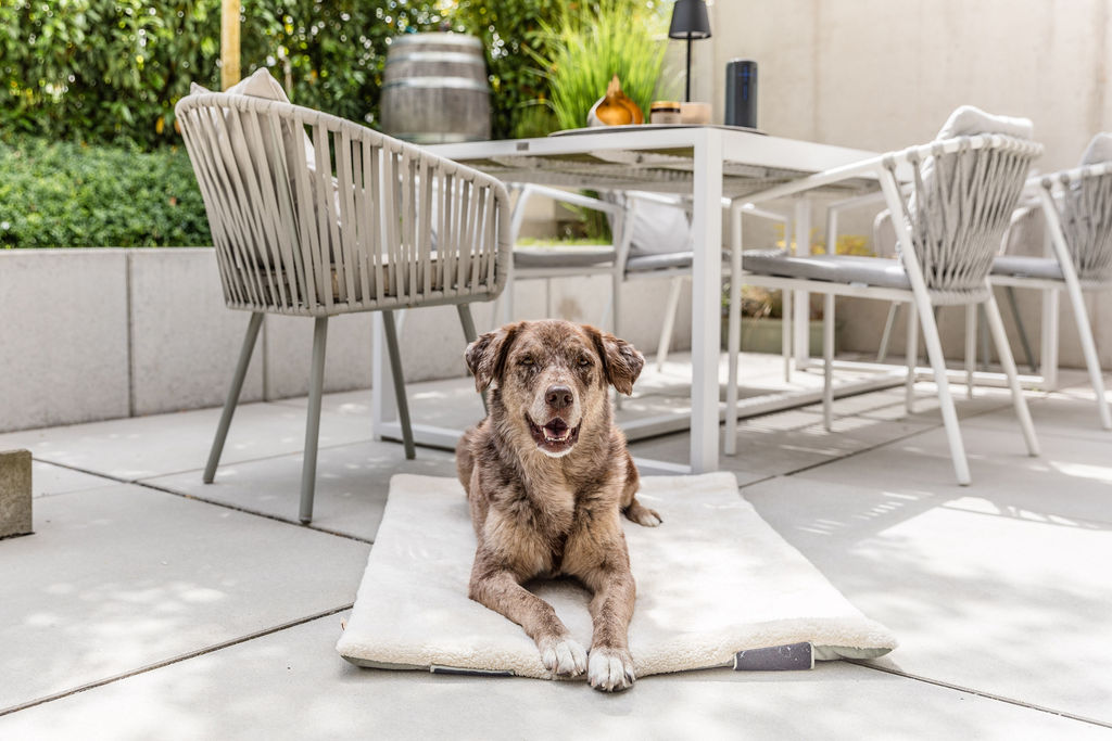  WOLTERS cat & dog GmbH