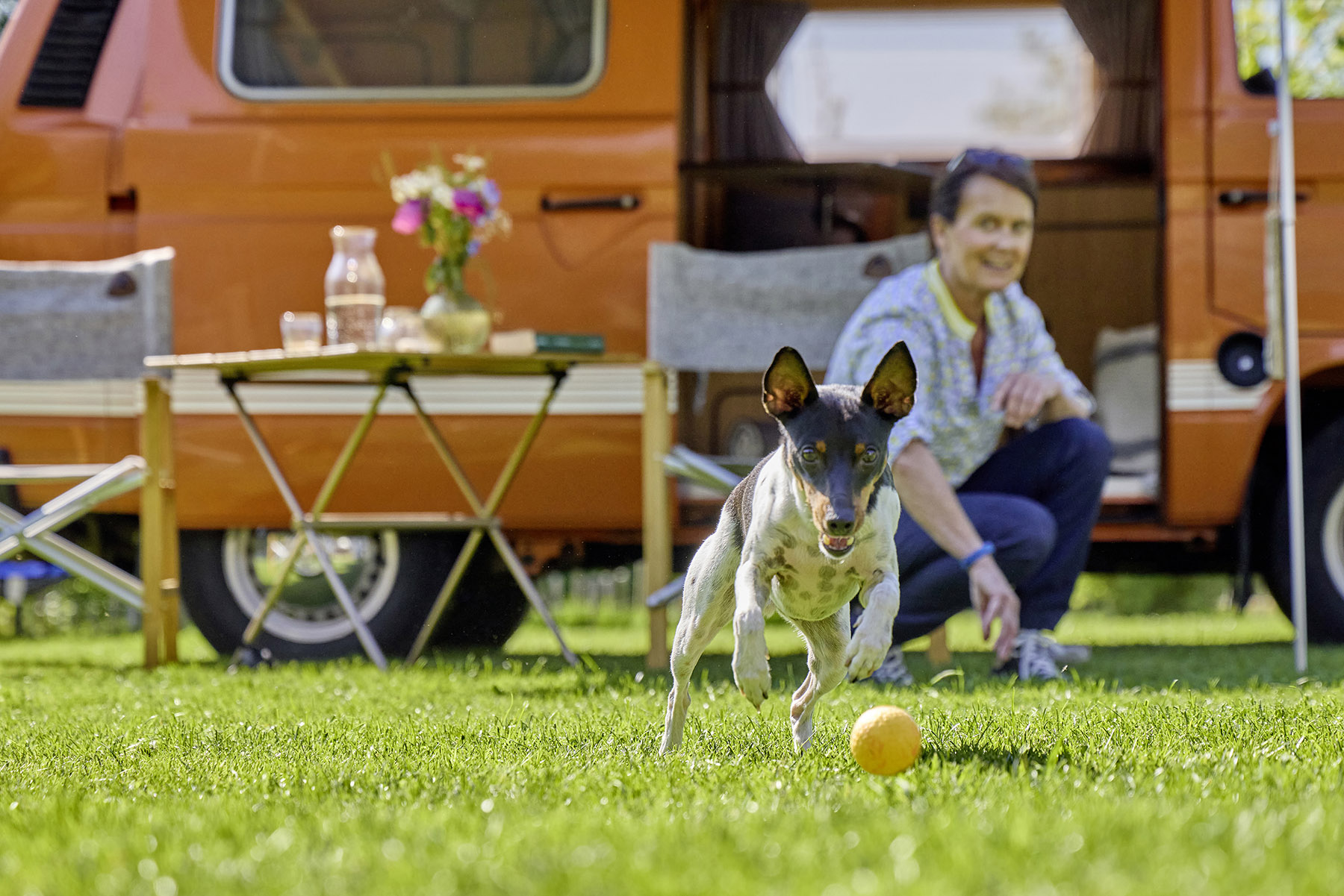 Dog Fun Ball