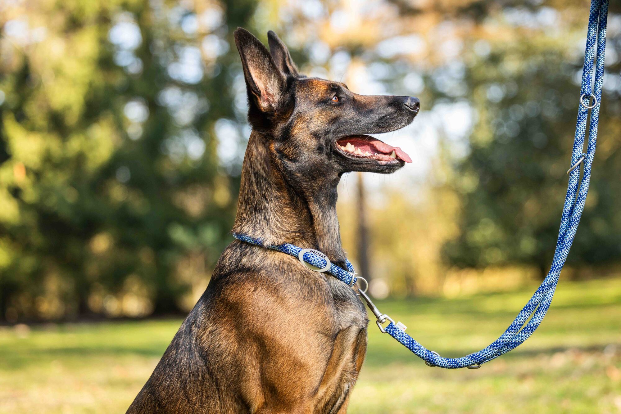 Everest-Tauprogramm Schlupfhalsband WOLTERS cat & dog GmbH