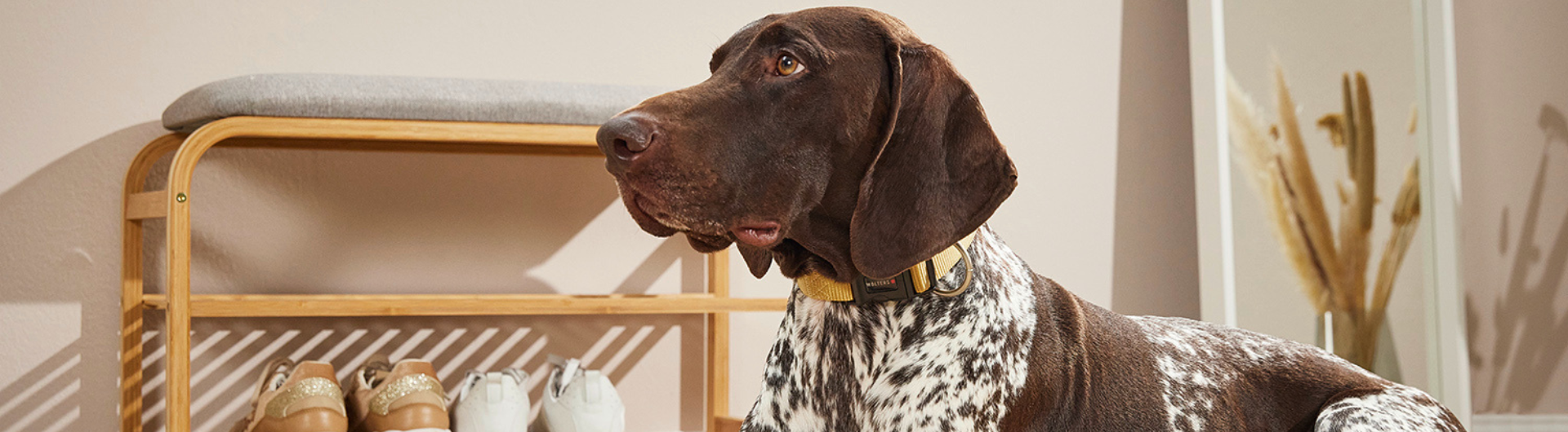 Tierbedarf WOLTERS cat & dog GmbH