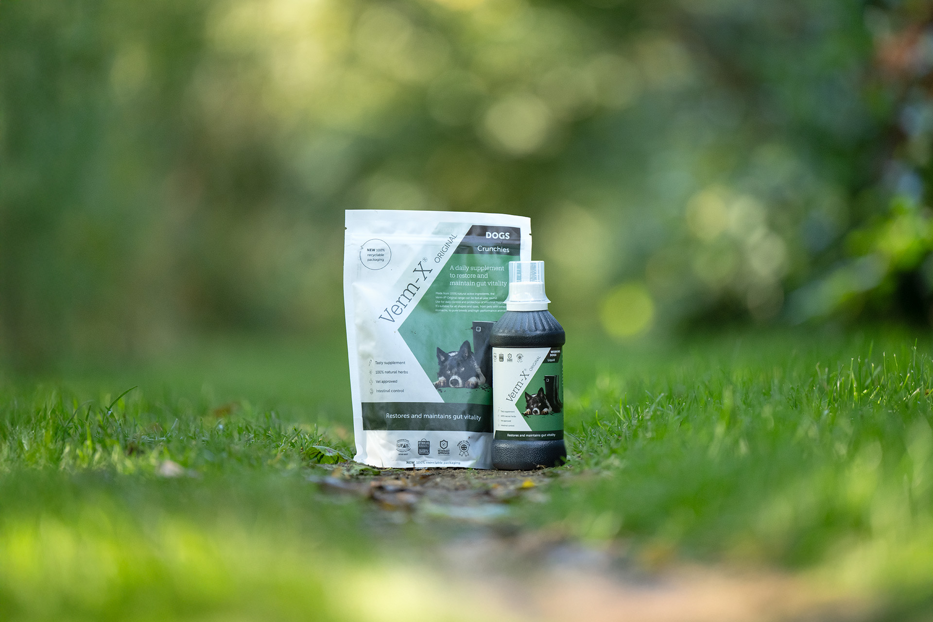 Verm-X Herbal Mixture for Dogs
