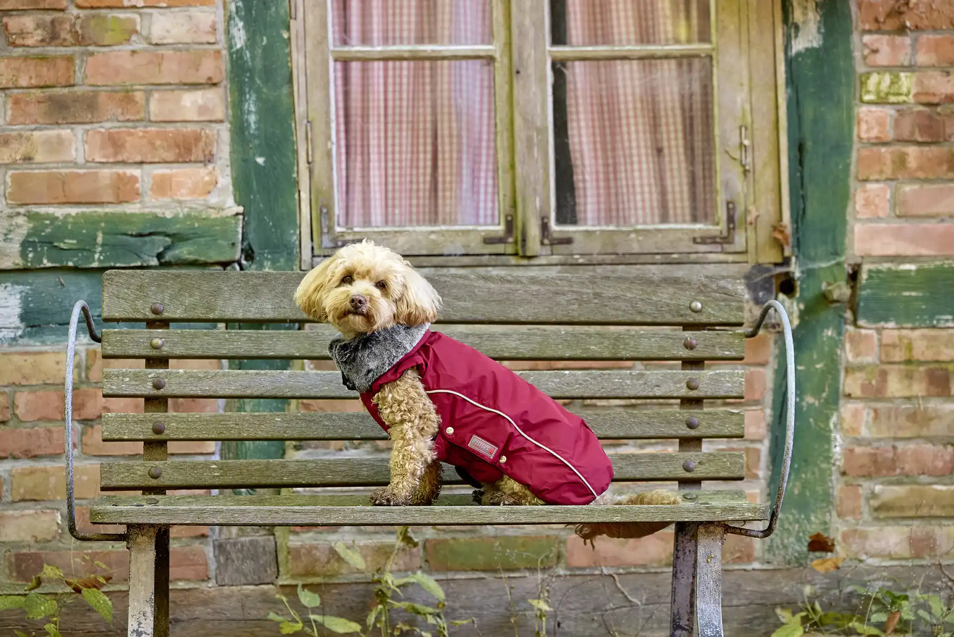 Winter Jacket Amundsen